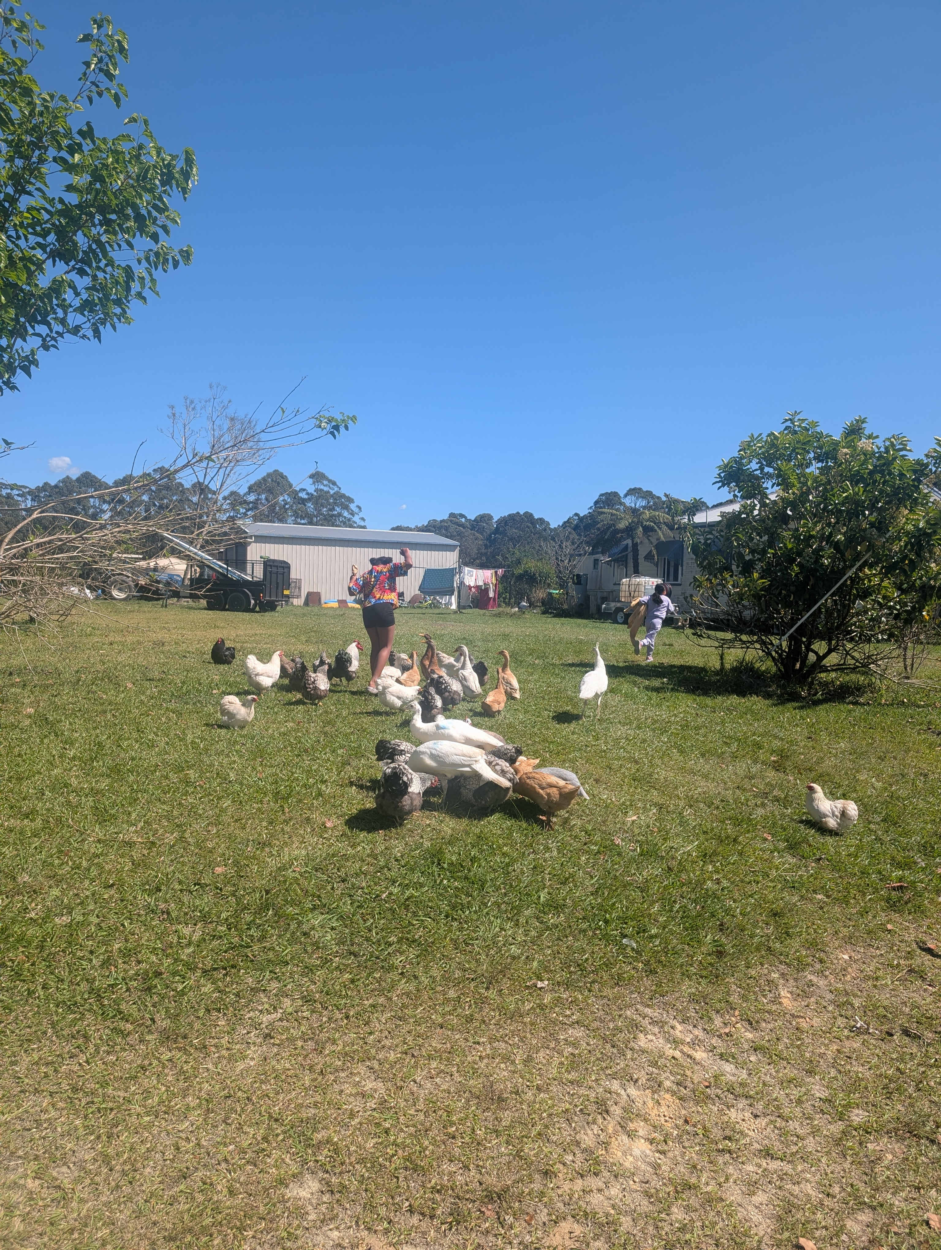 Coffs Harbour Camping & Farmstay