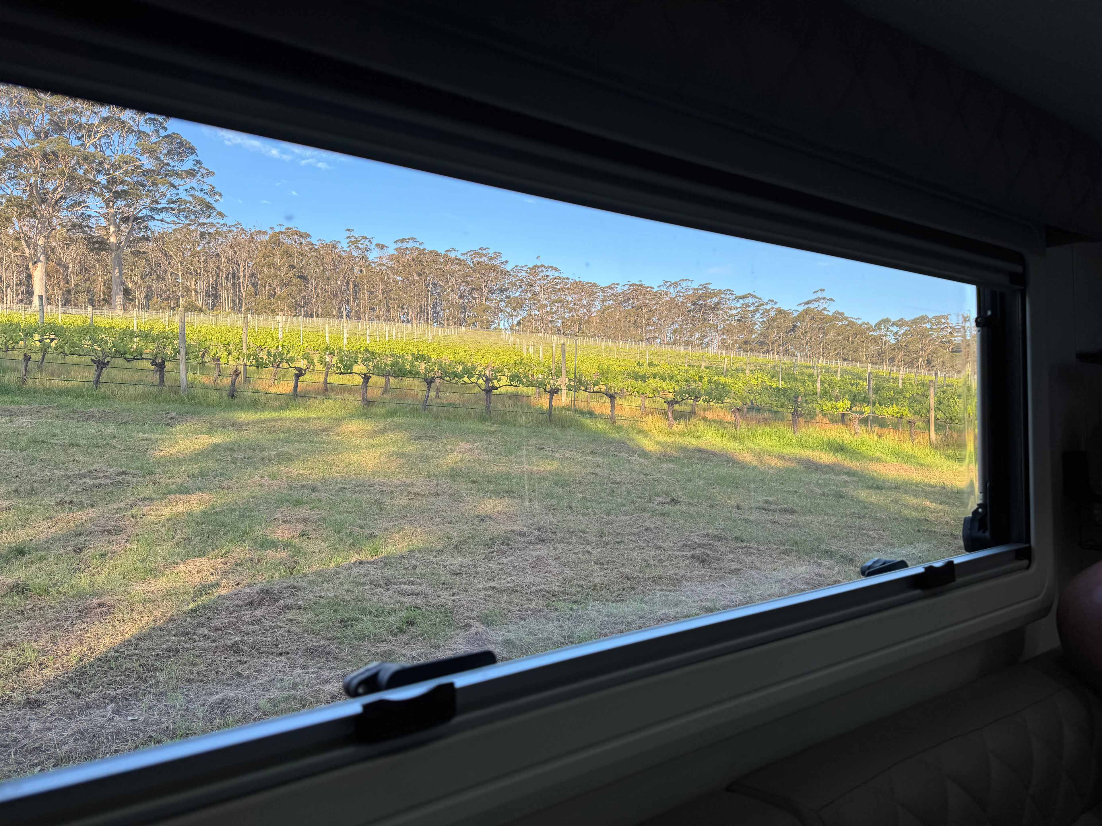 Stunning Rockcliffe Vineyard