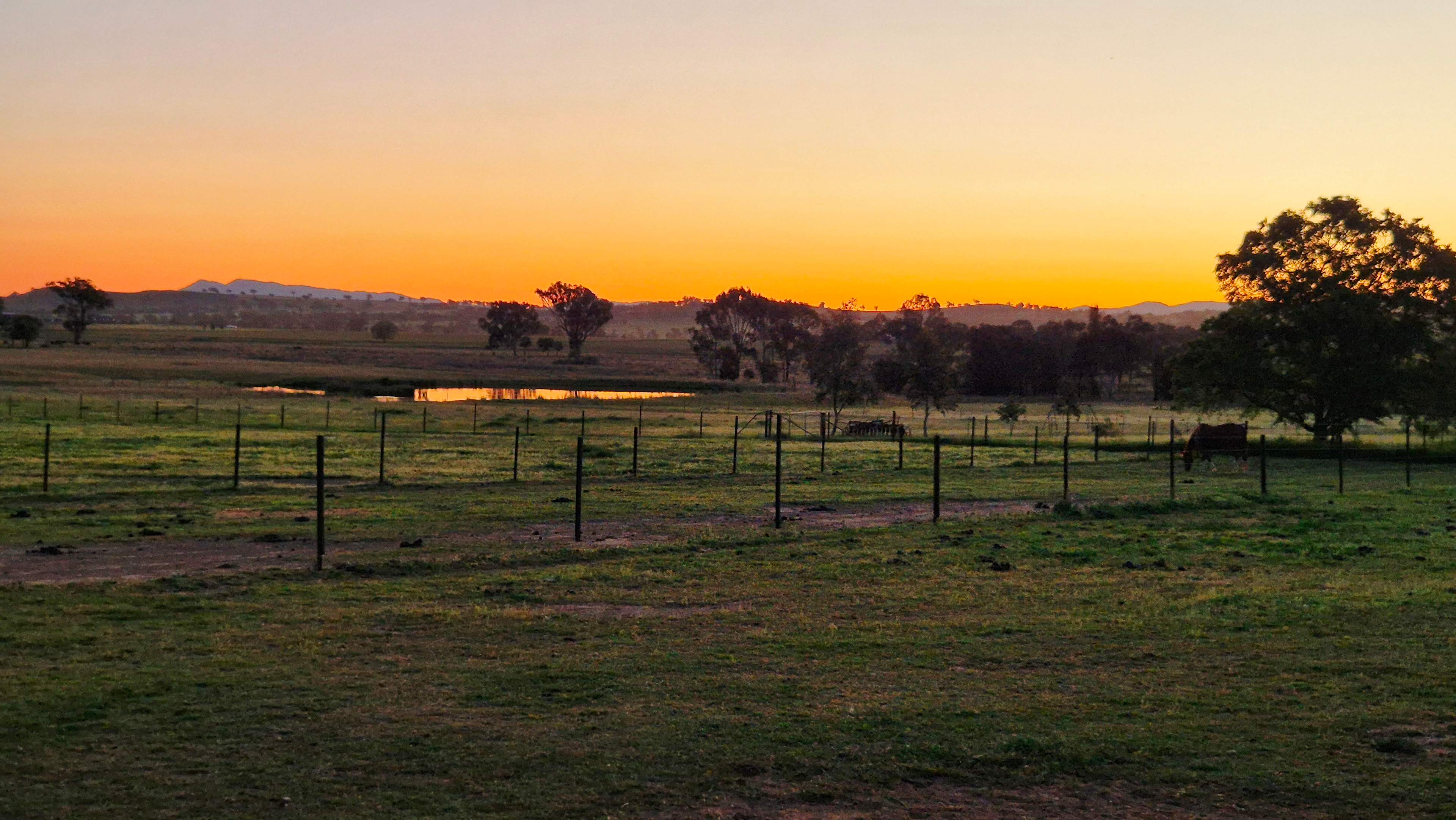 Sheffield B&B Farm stay Tamworth