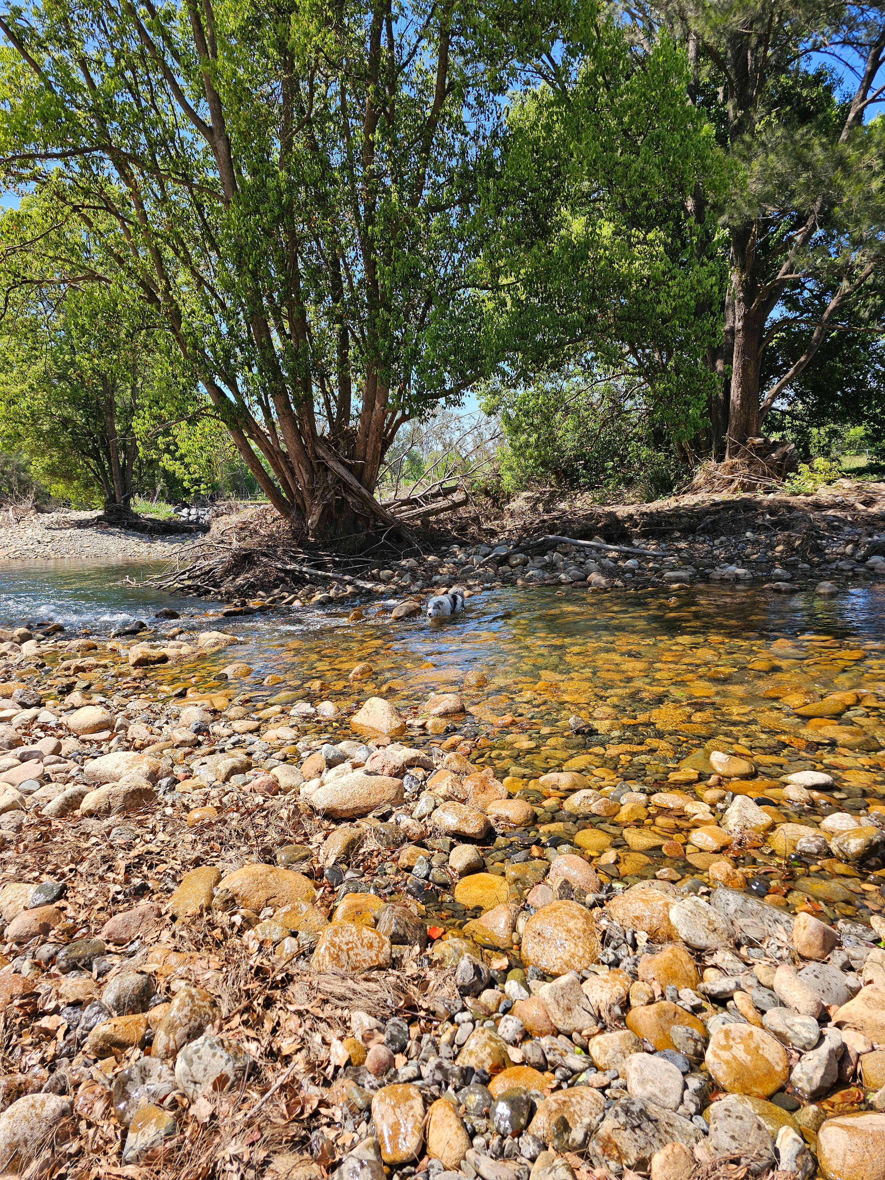 Nearby (5 min drive)  swimming spot at the river.