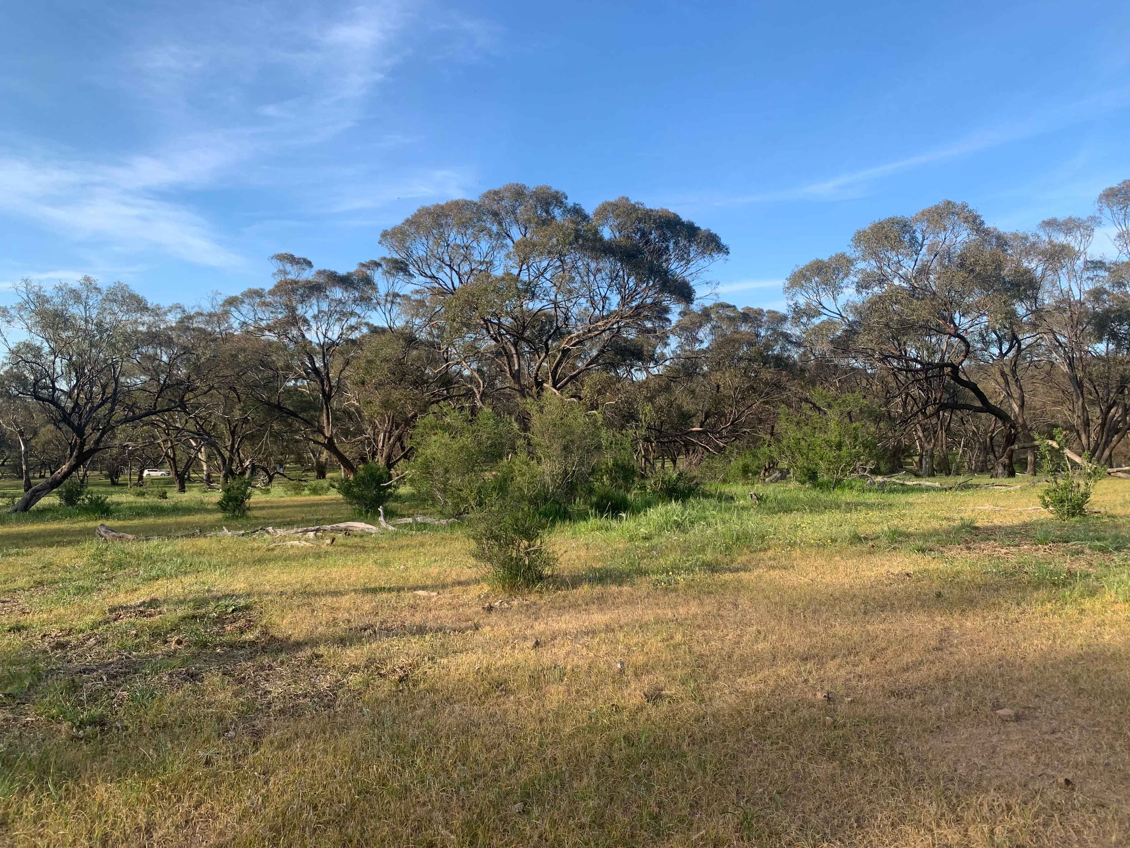 Gateway to the Clare Valley