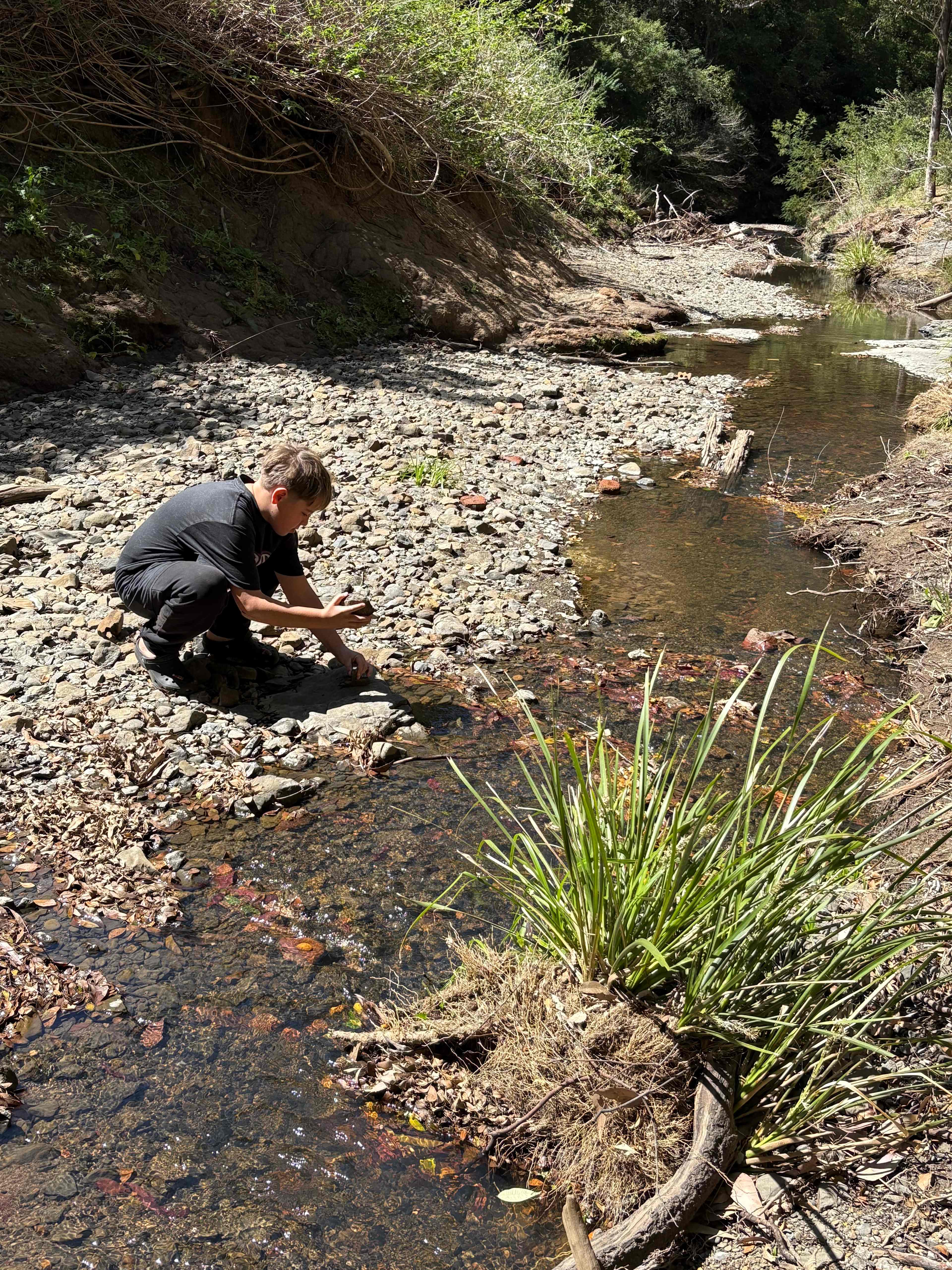 Currambene Creek Farm