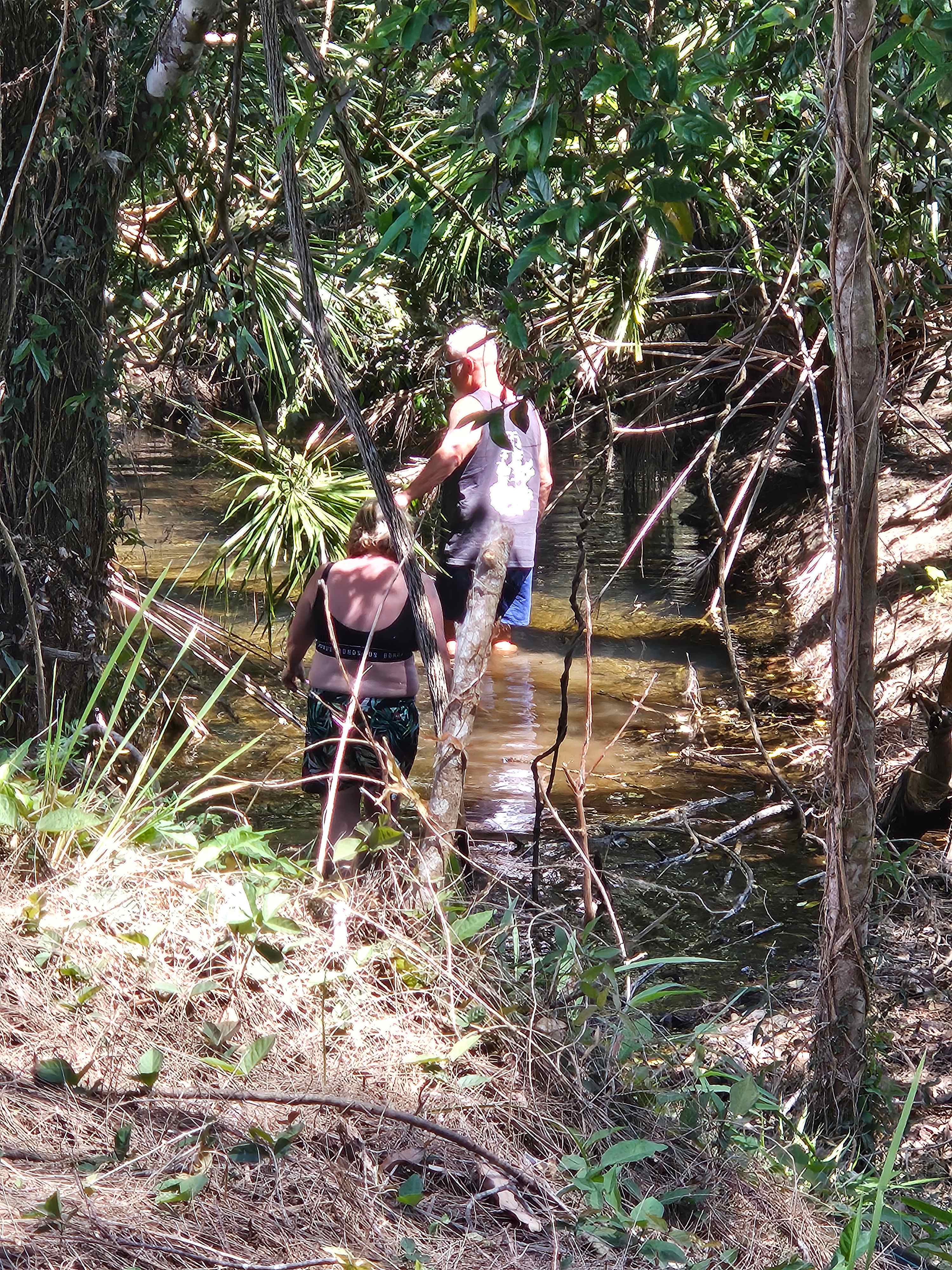 'The Three Mile Creek' Camping