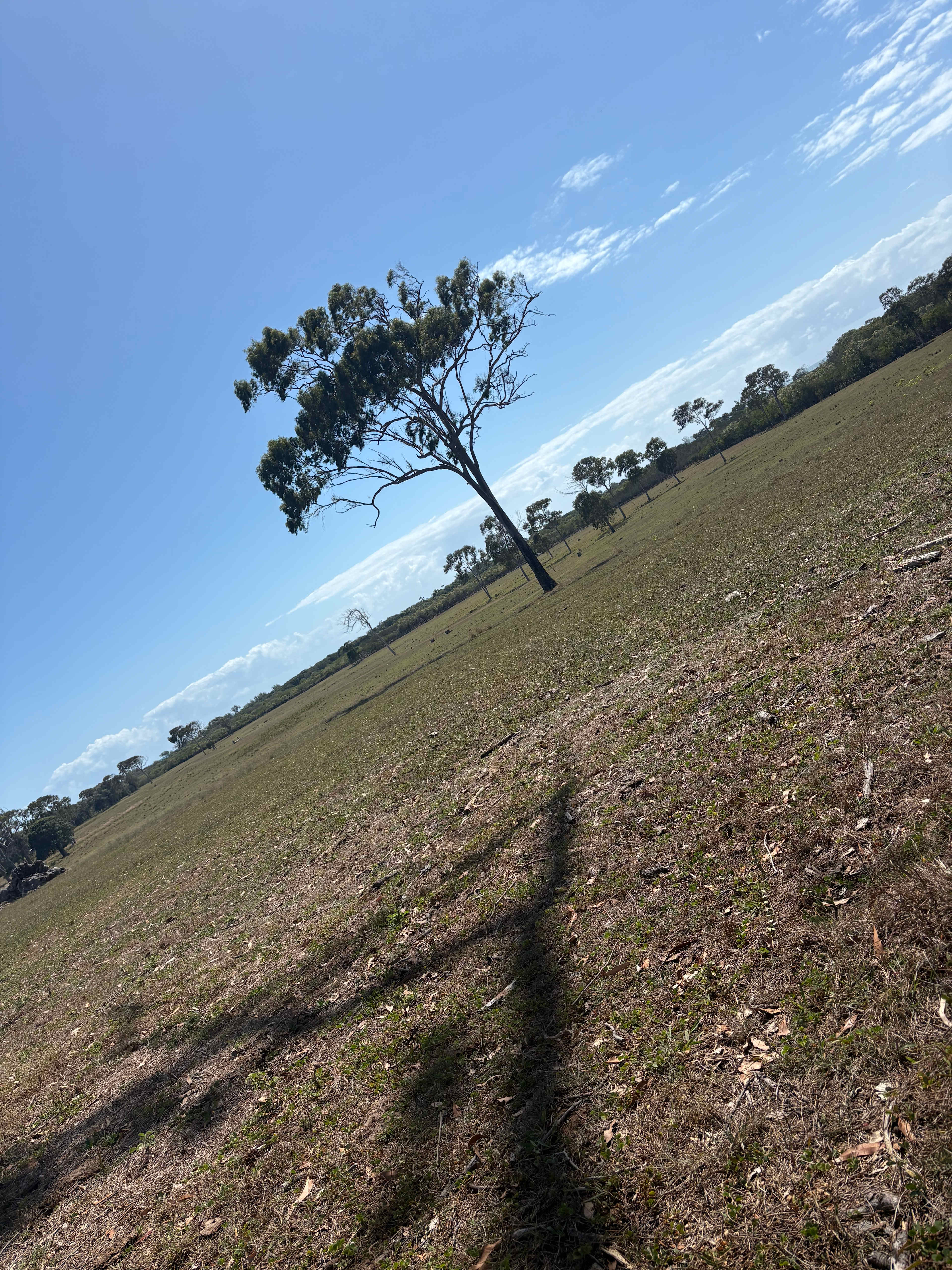 Breathe At Rules Beach