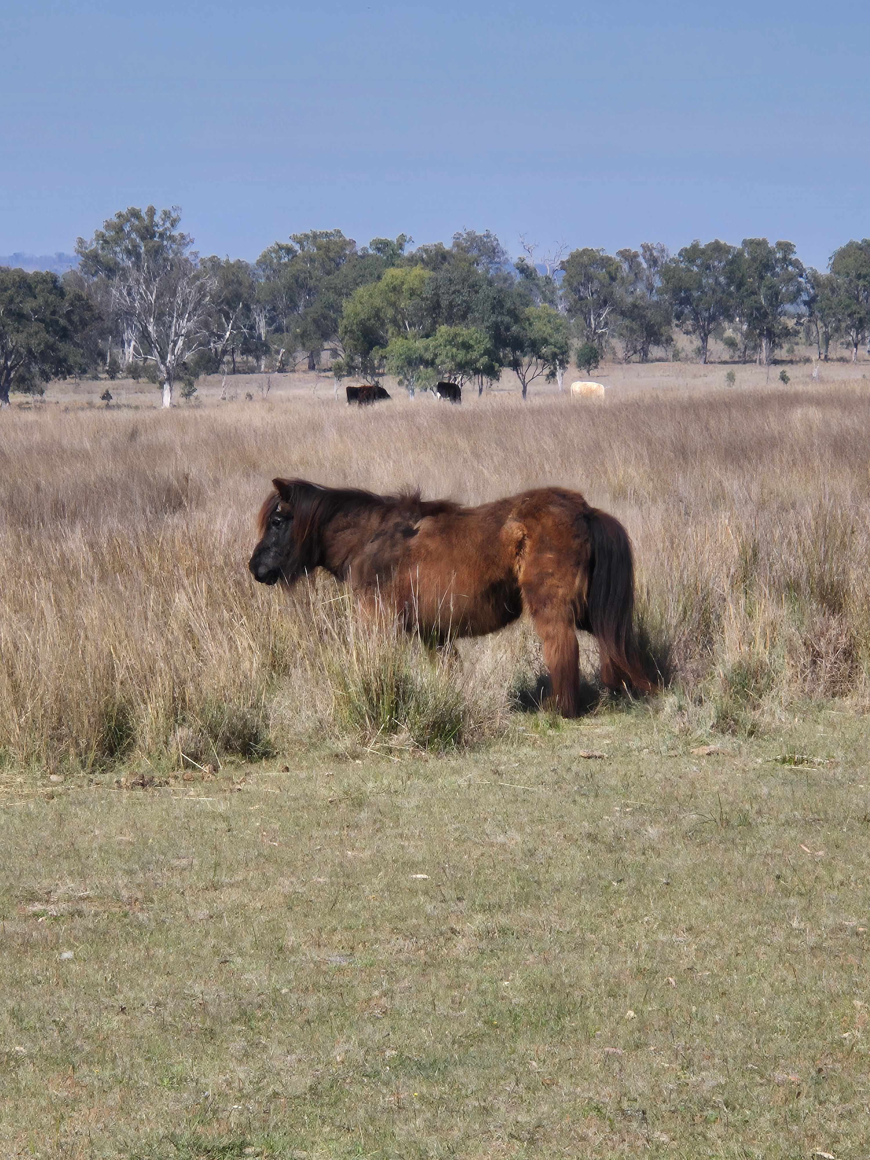 Carrington,  Views, Water and Space