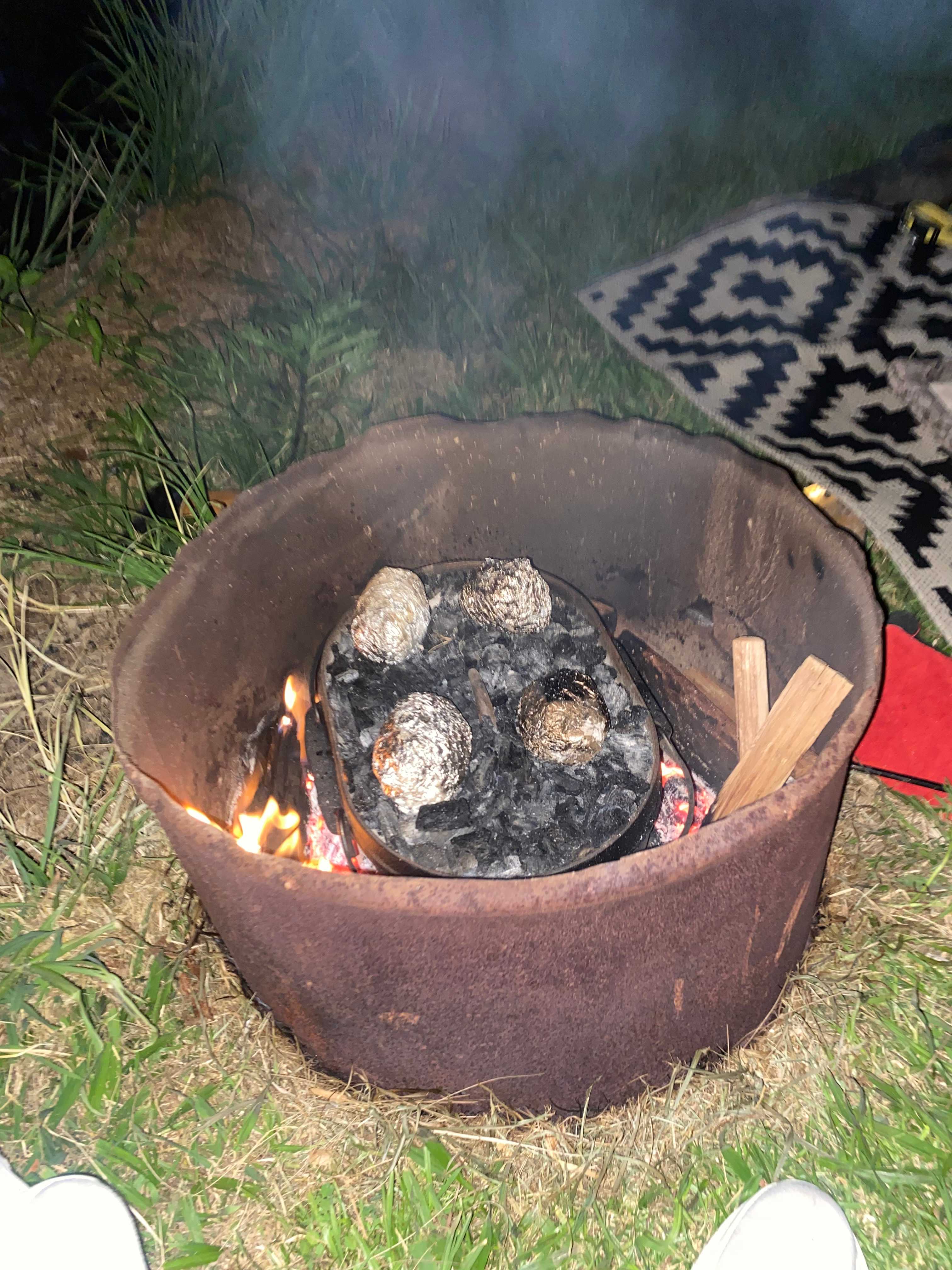 Bellinger River Camping