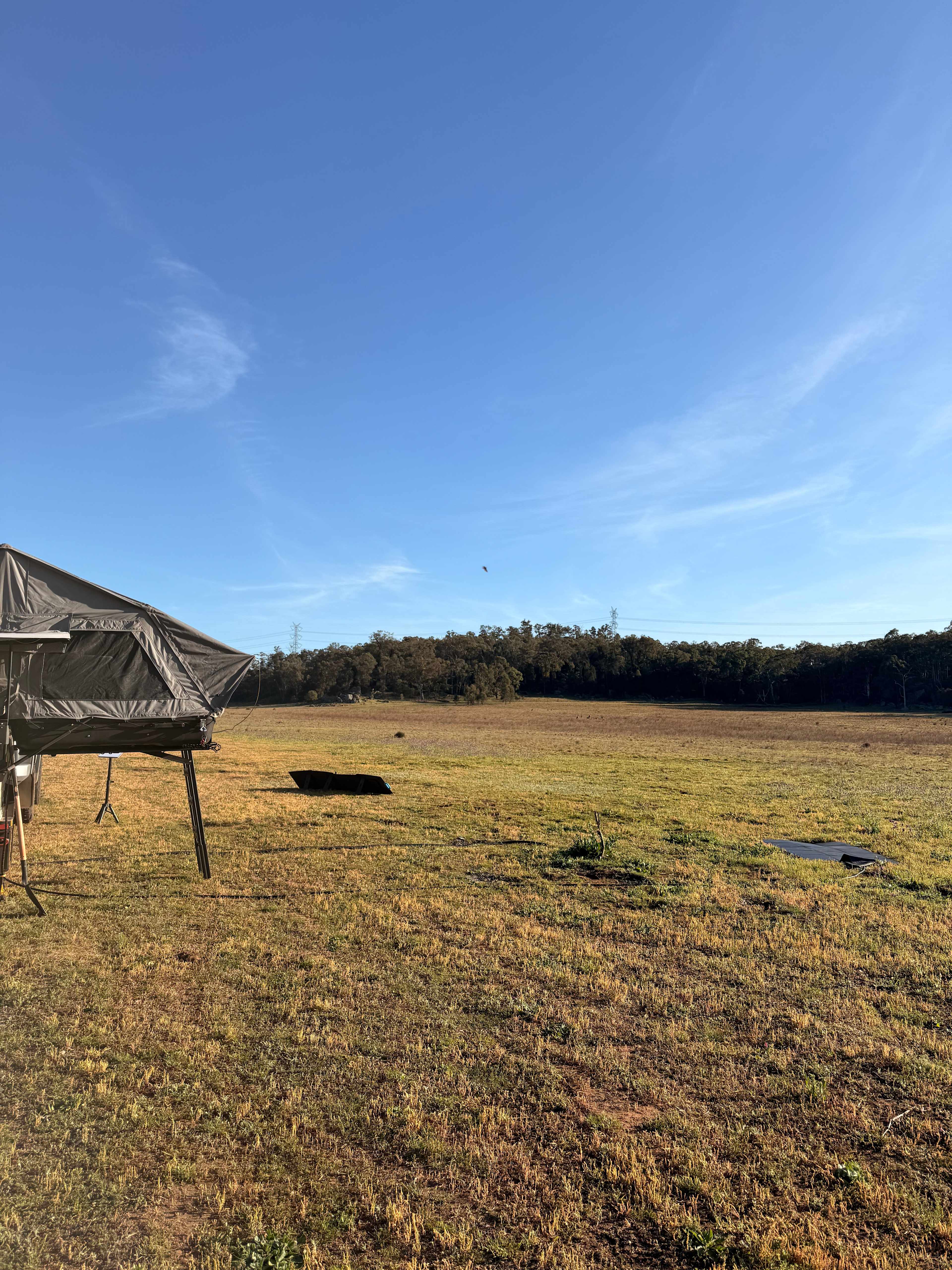 Hillside Camp on Bow River