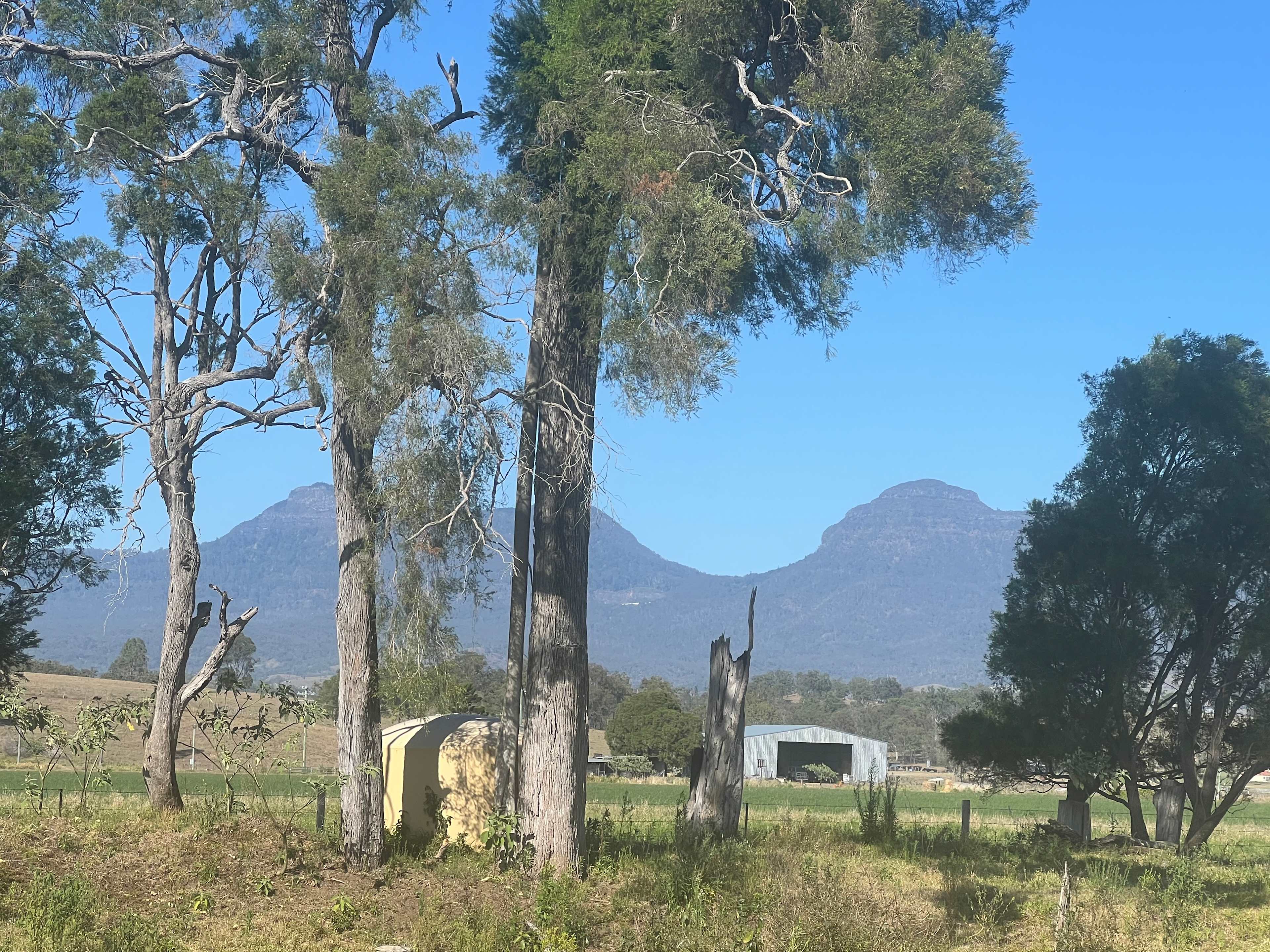 Warrill Creek Camping