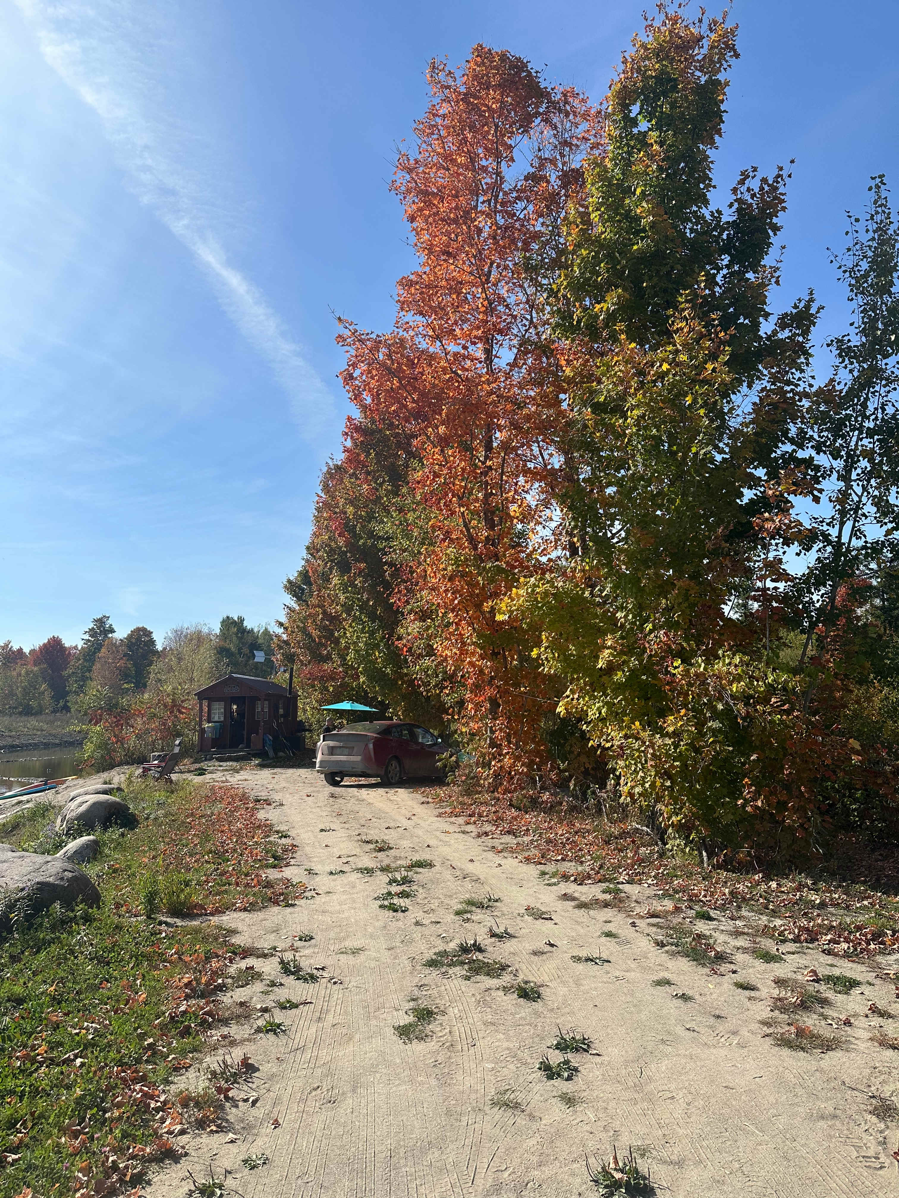 the Goose - Jamink Farm