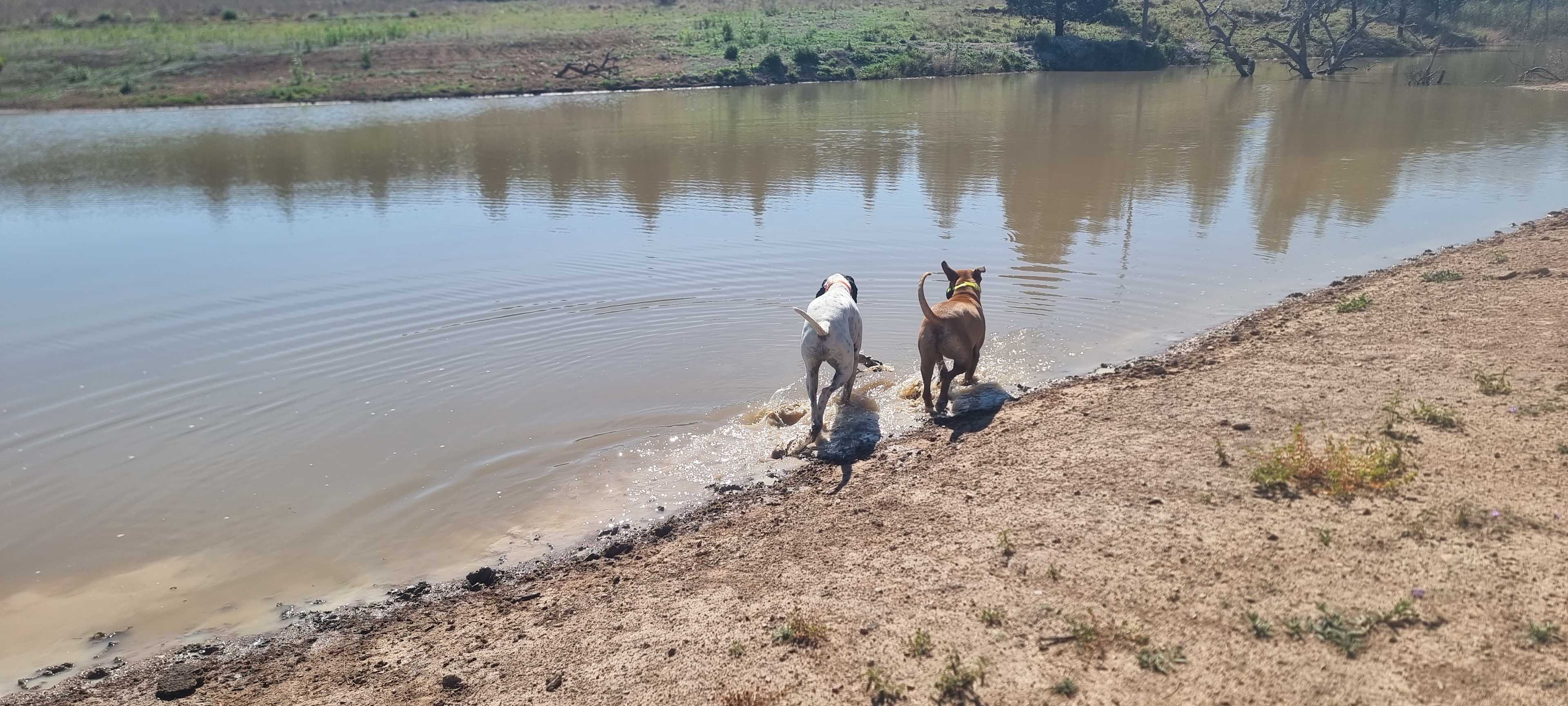Valley Heights Texas QLD Bush Camp