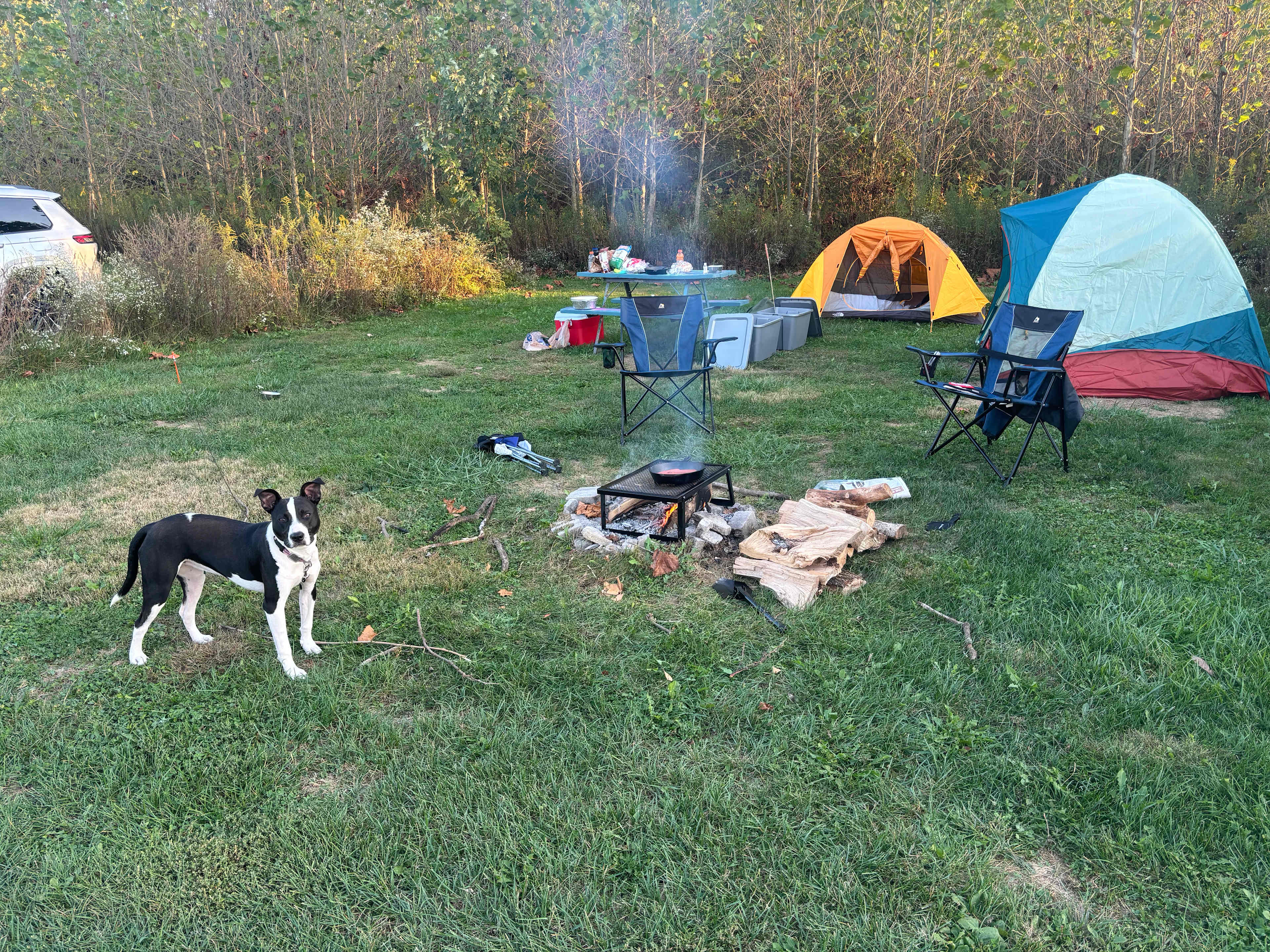 Penny’s First Camping Trip