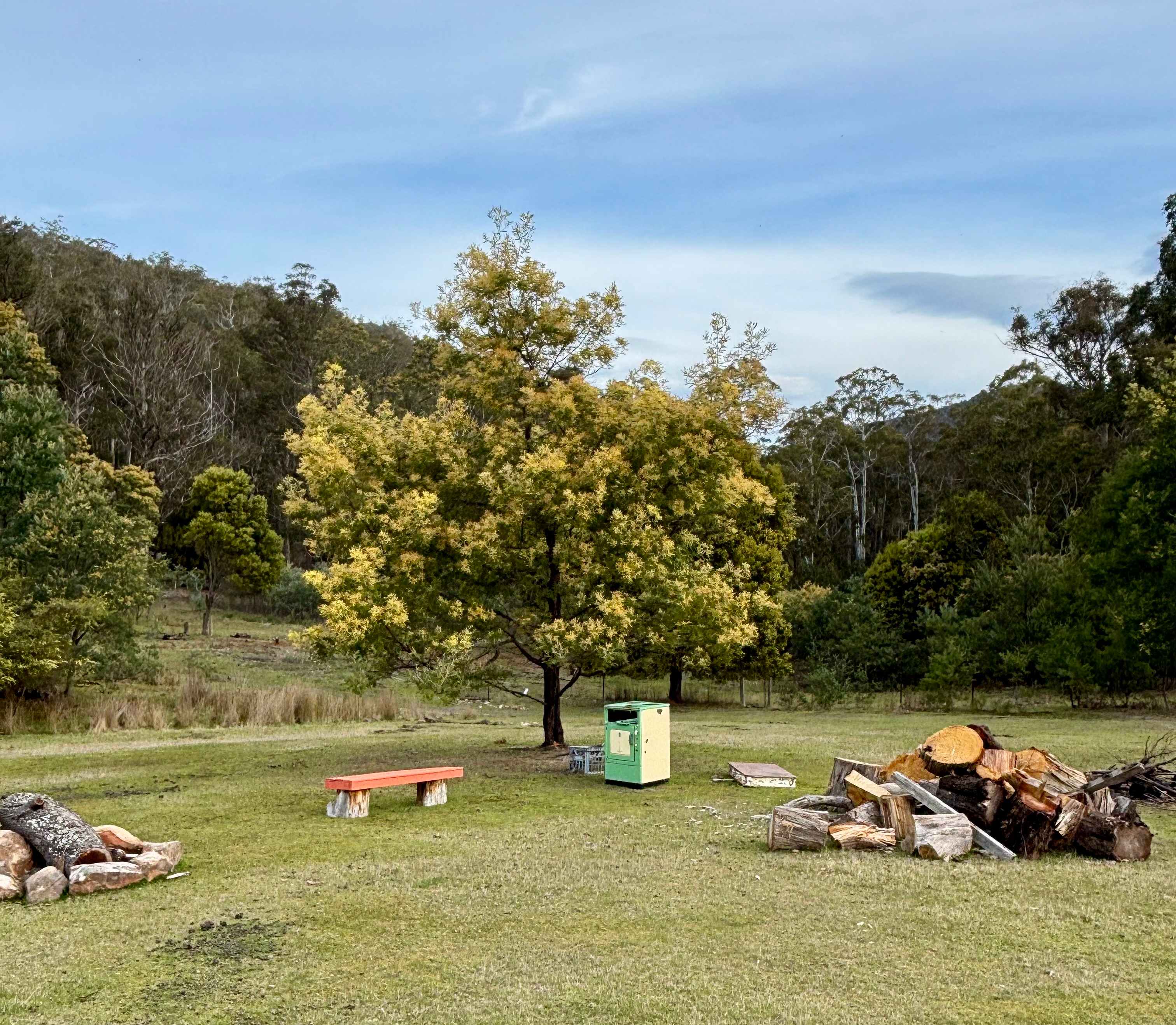 Picture of the site