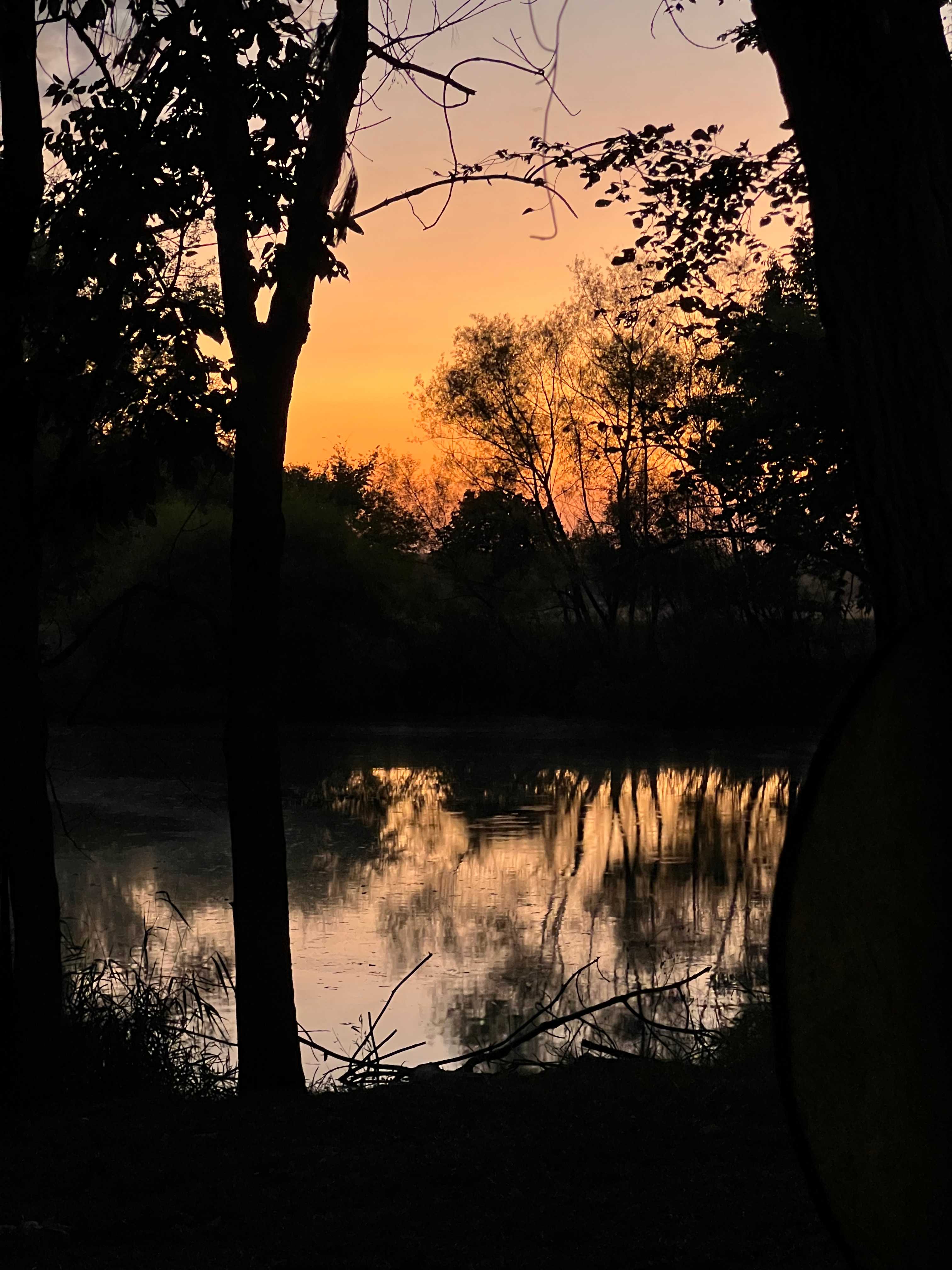 Sunset over the pond 