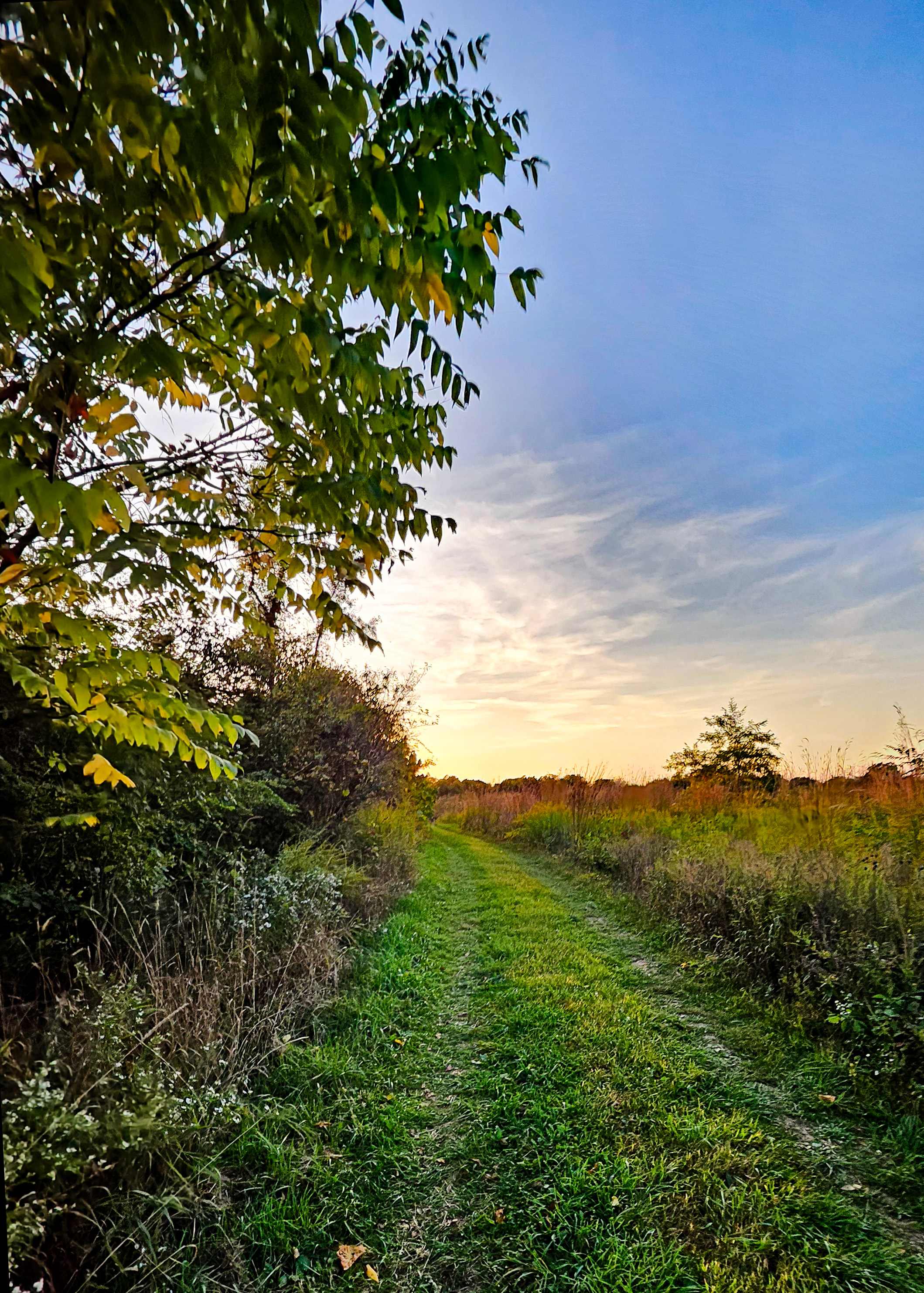 View from campsite looking back on track leading in