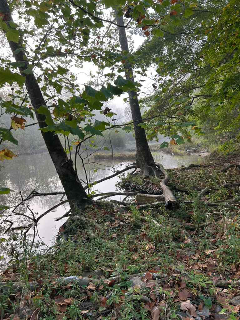 Hones Pointe Campground