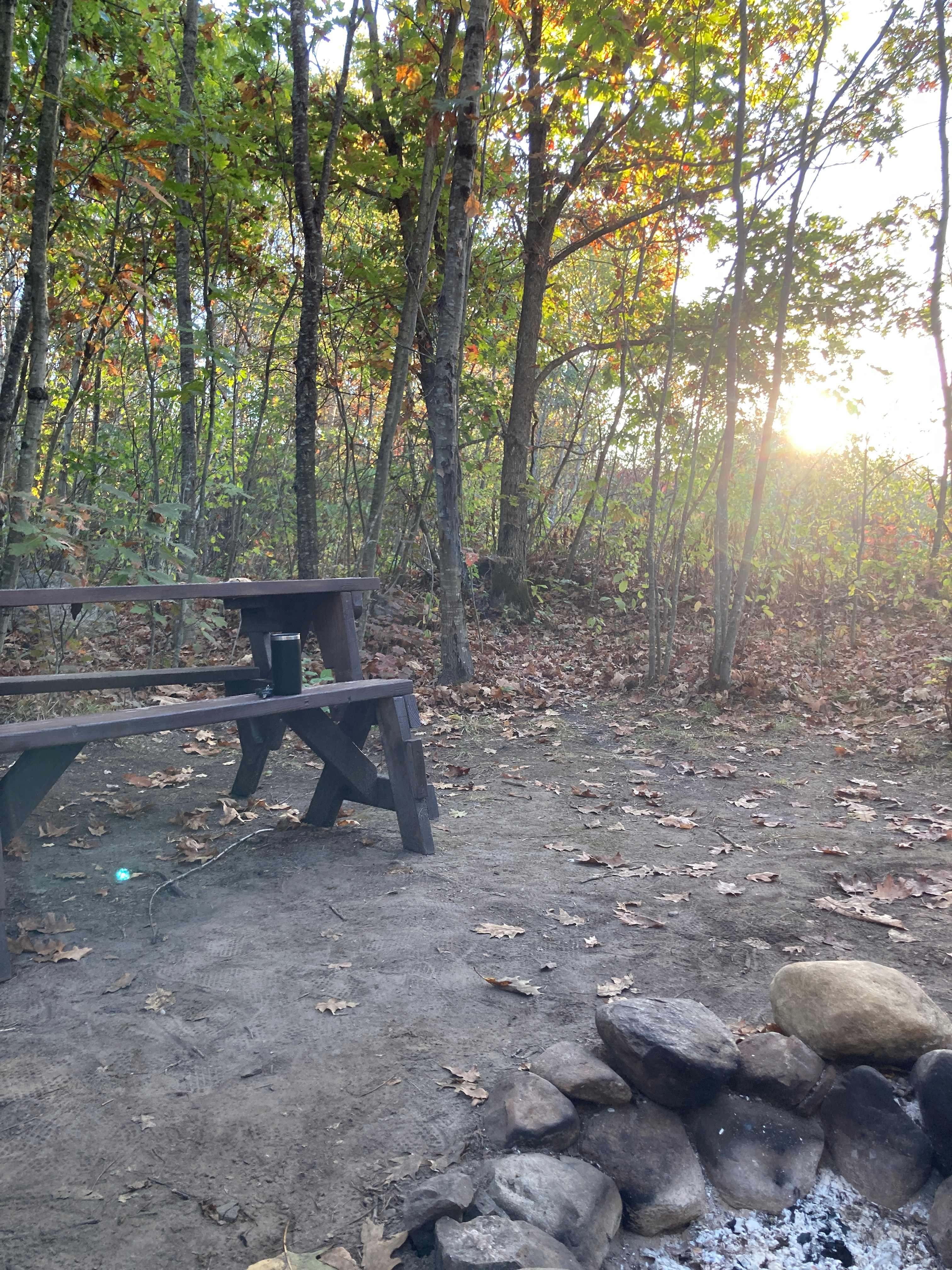 Campers Welcome to The Wolf Swamp.