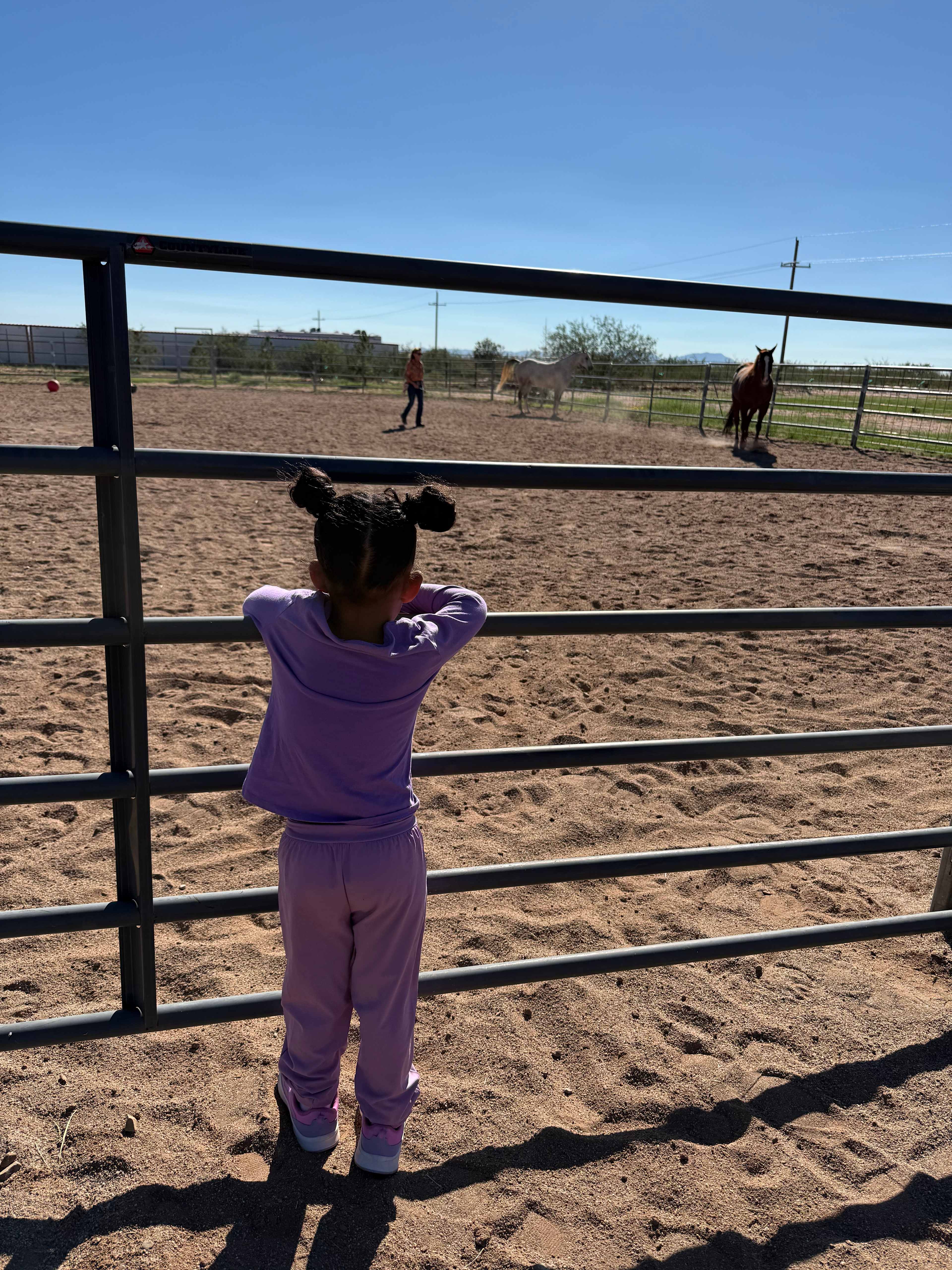 Karla's Hummingbird Guest Ranch