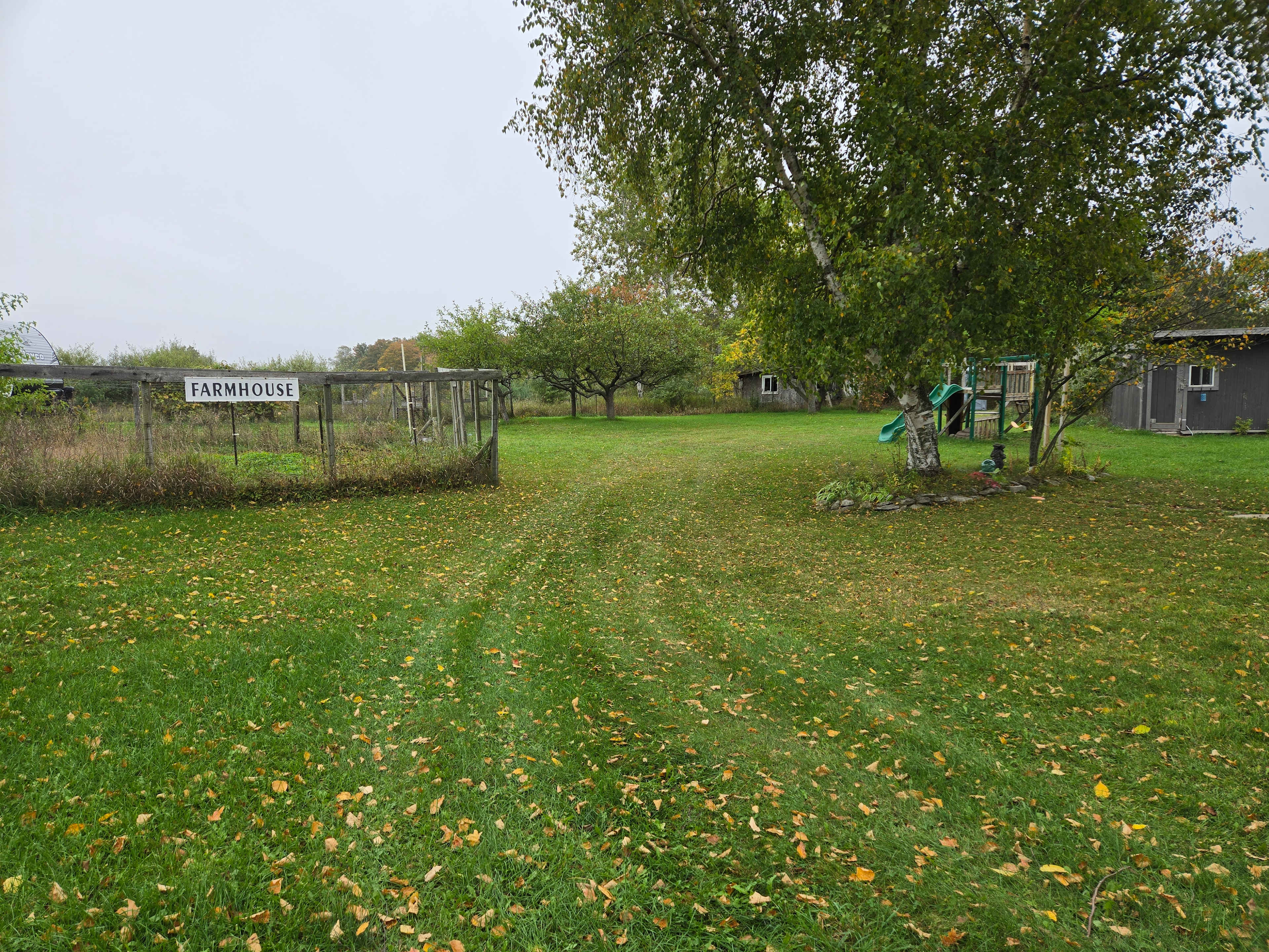 Fun on the Farm