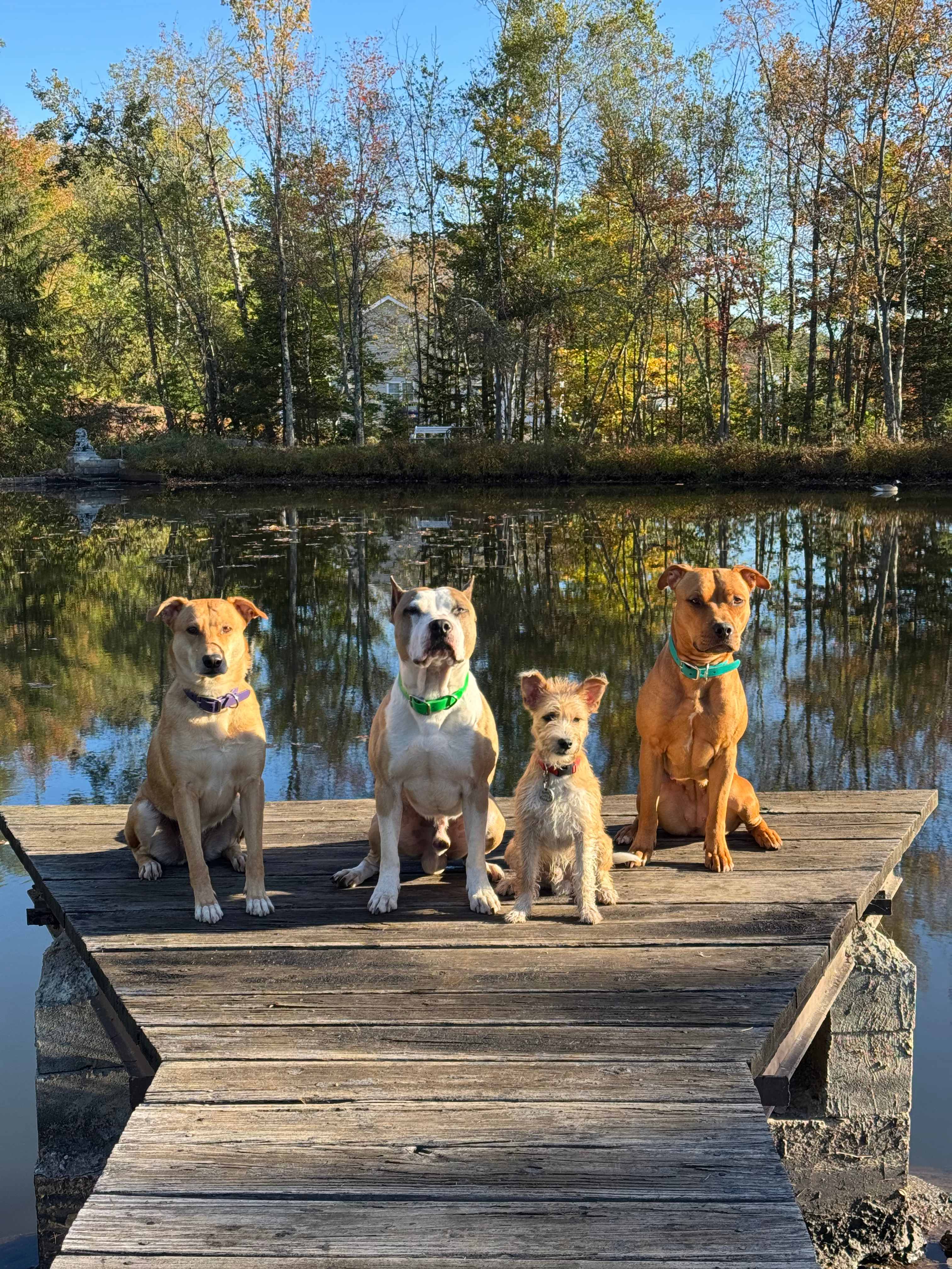 Private RV(50A) + Camping + Fishing