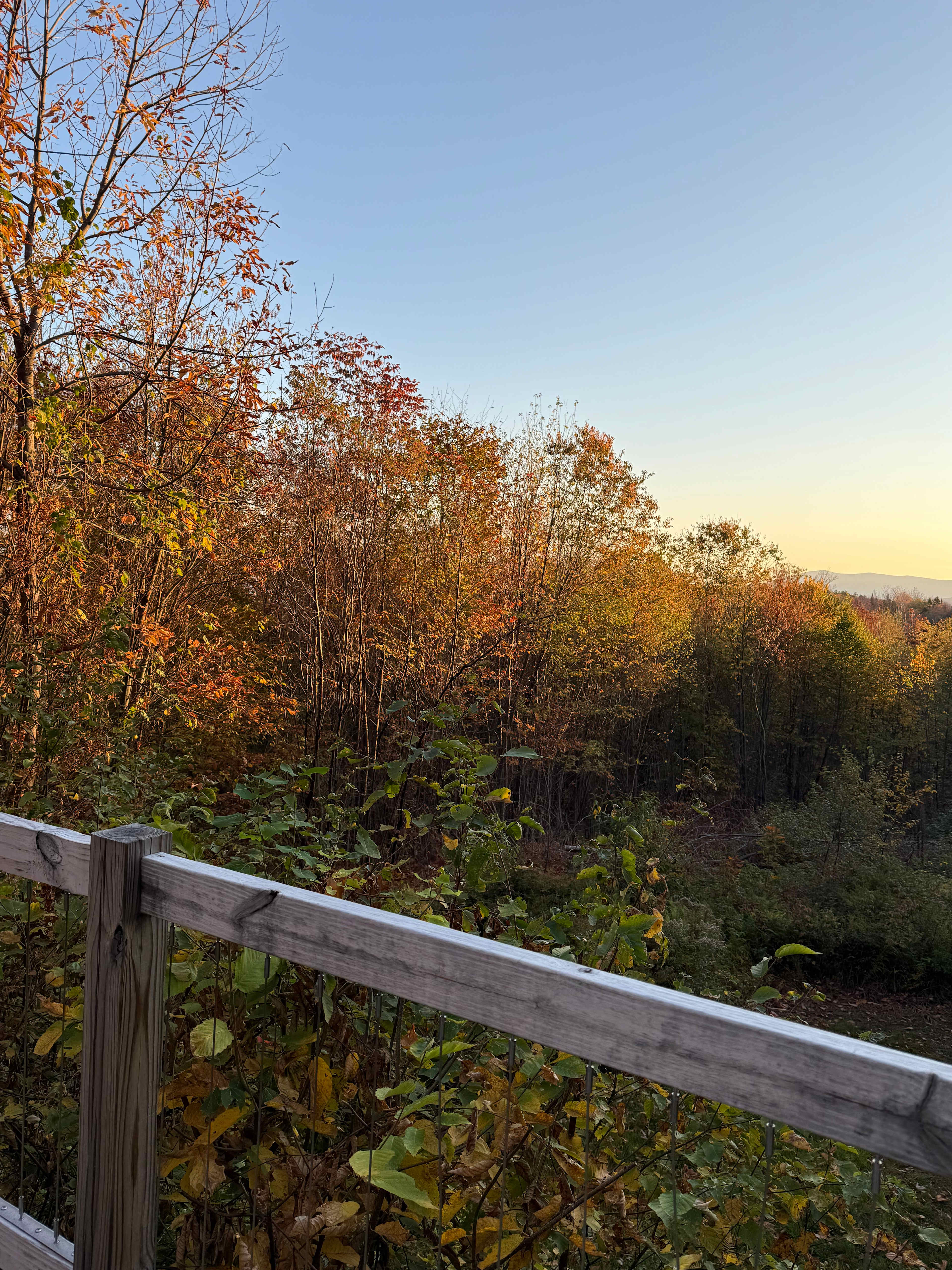 Luxury glamping on Mt. Aggasiz