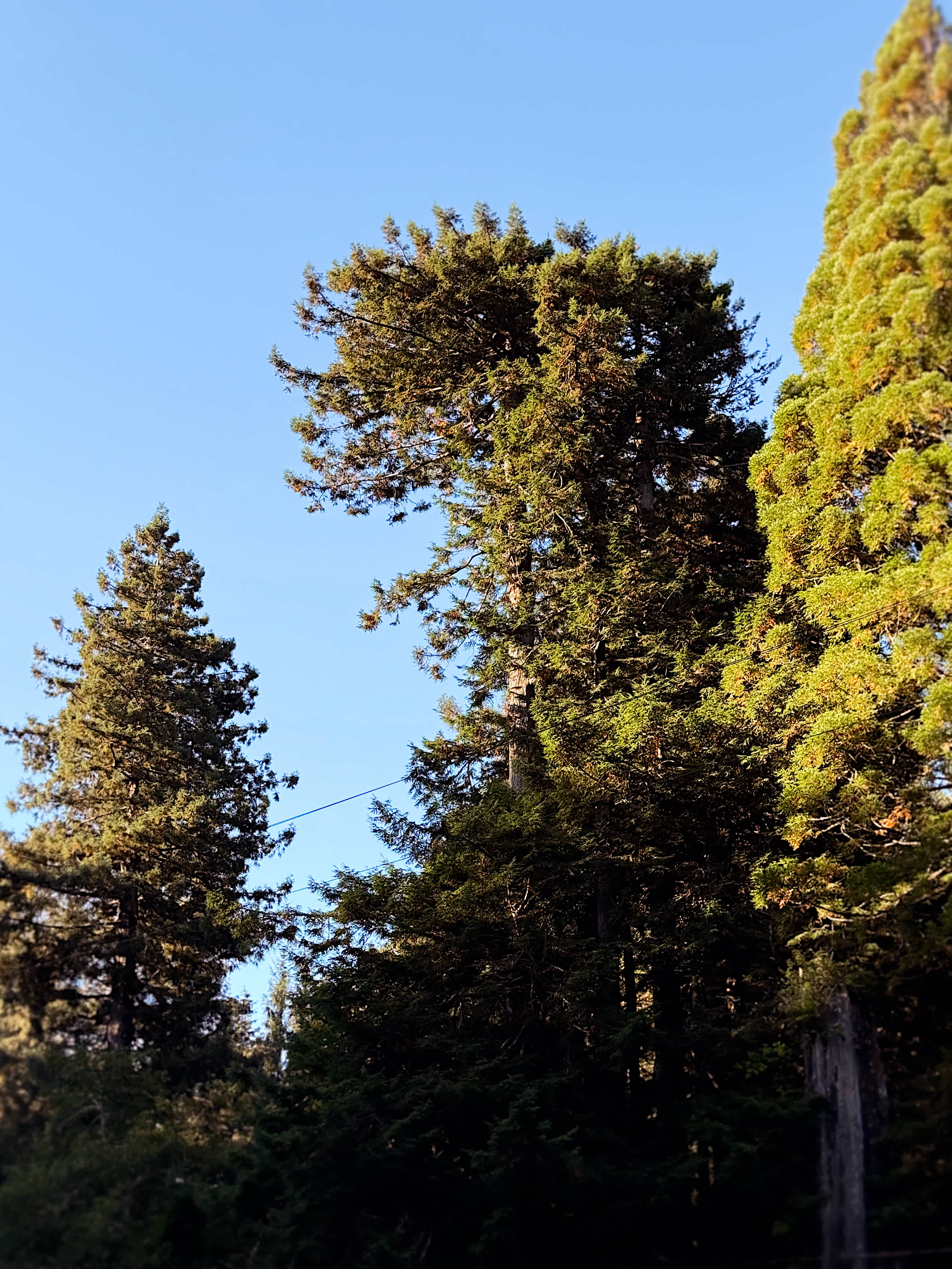 Sylvan Harbor RV Camp & Cabins