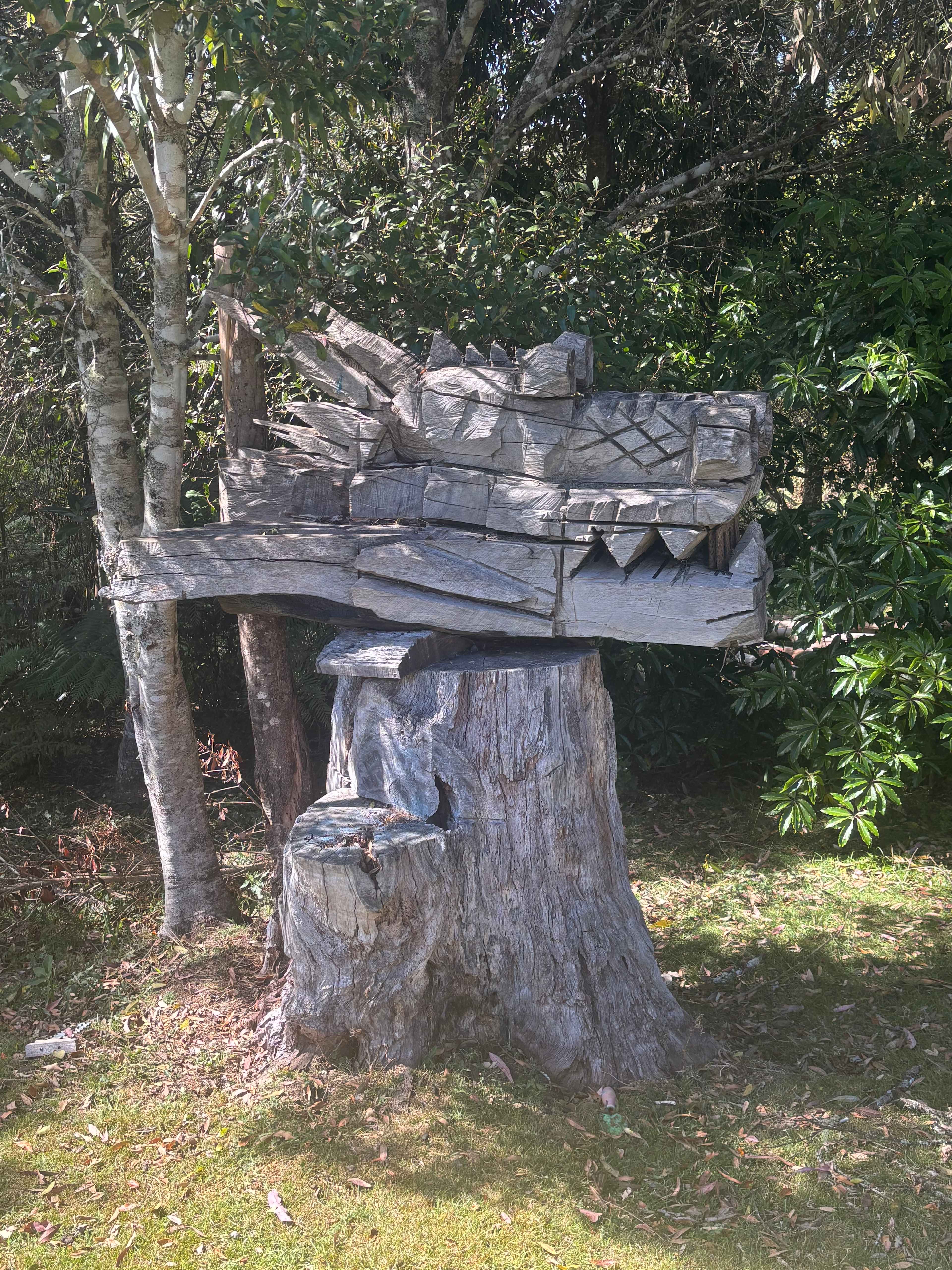 Secluded Mountain Camping