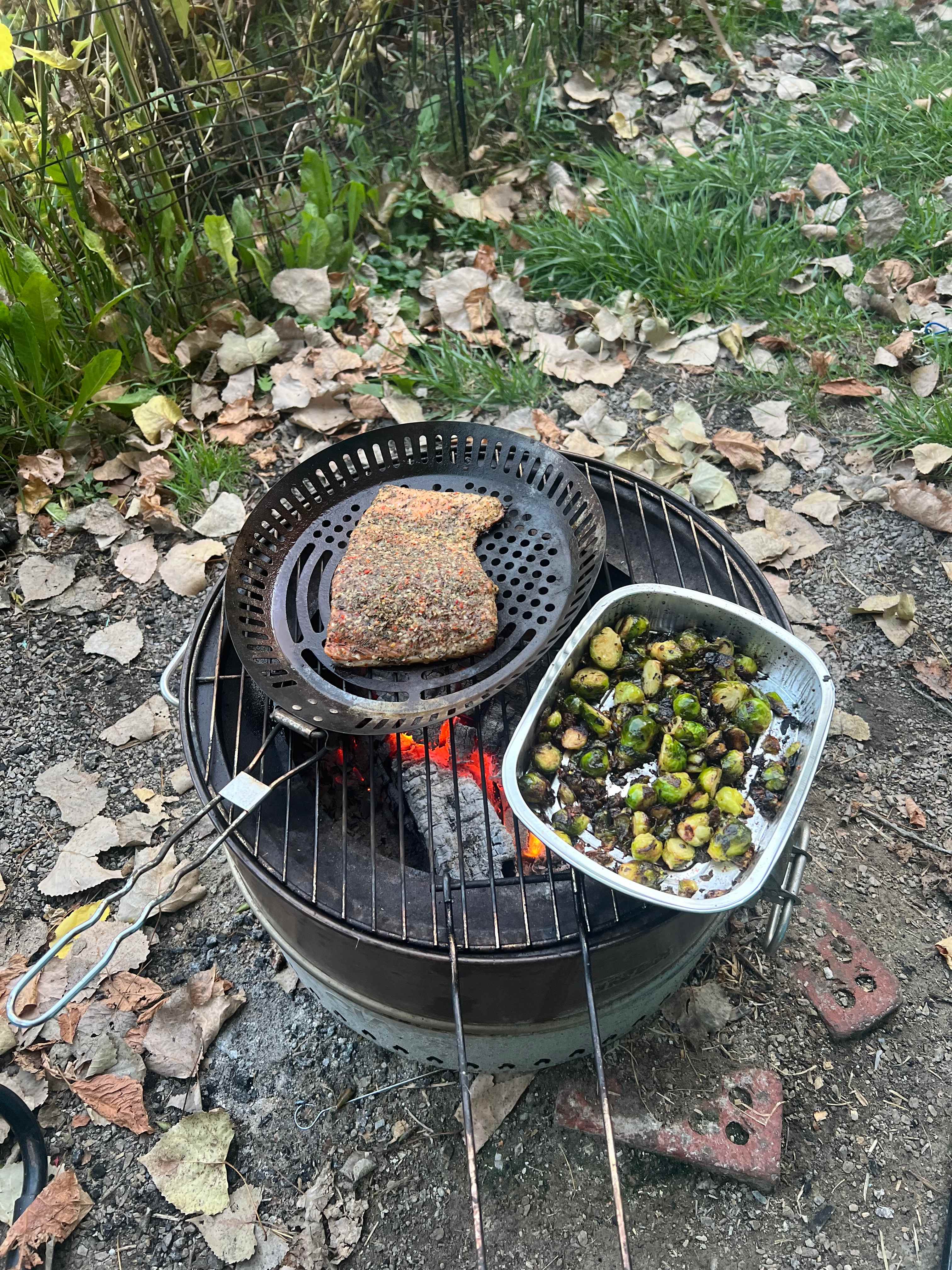 Tiny Love Shack Off Grid Glamping