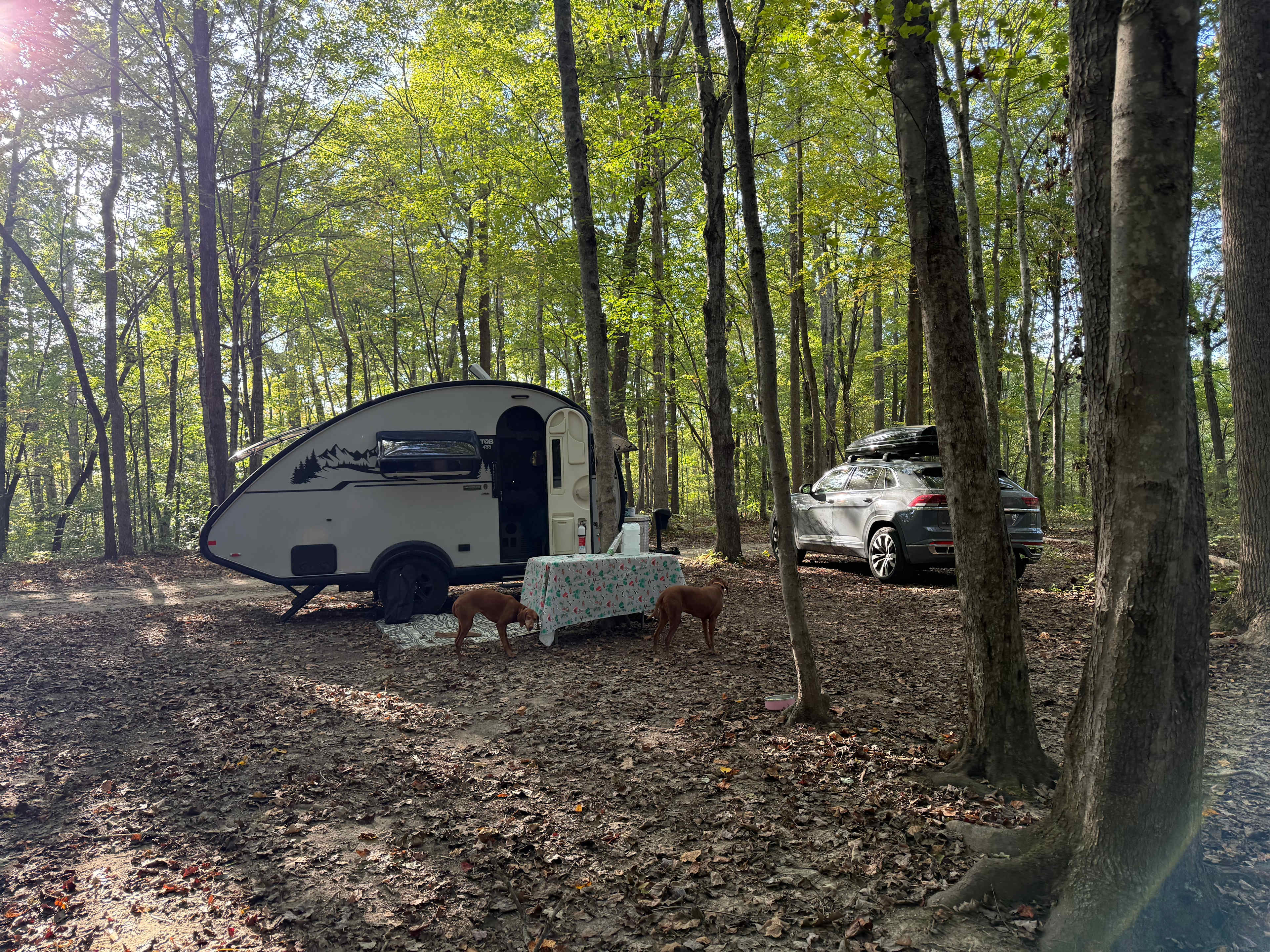 Belle and Beau Acres