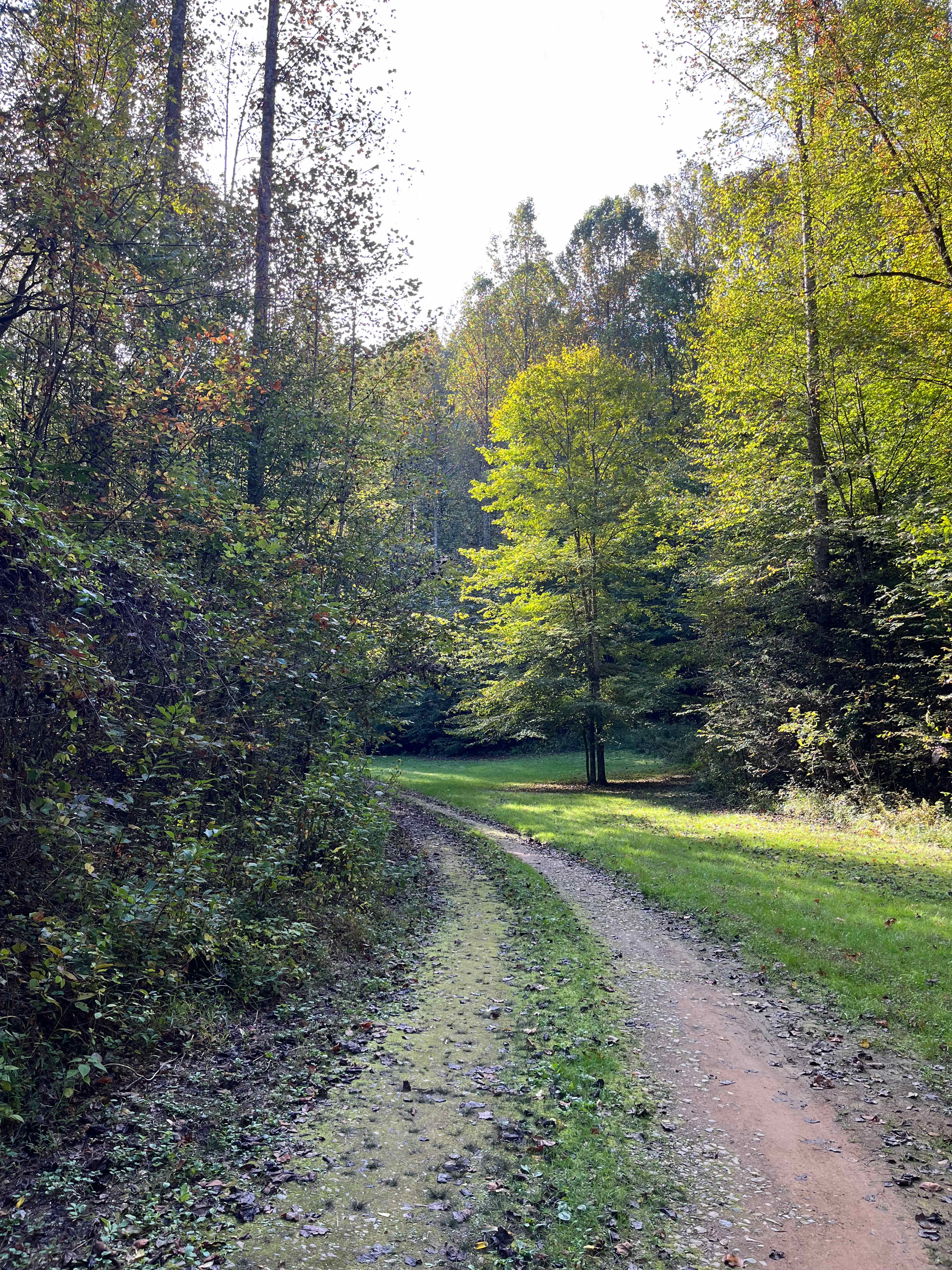 Pretty one lane road throughout 