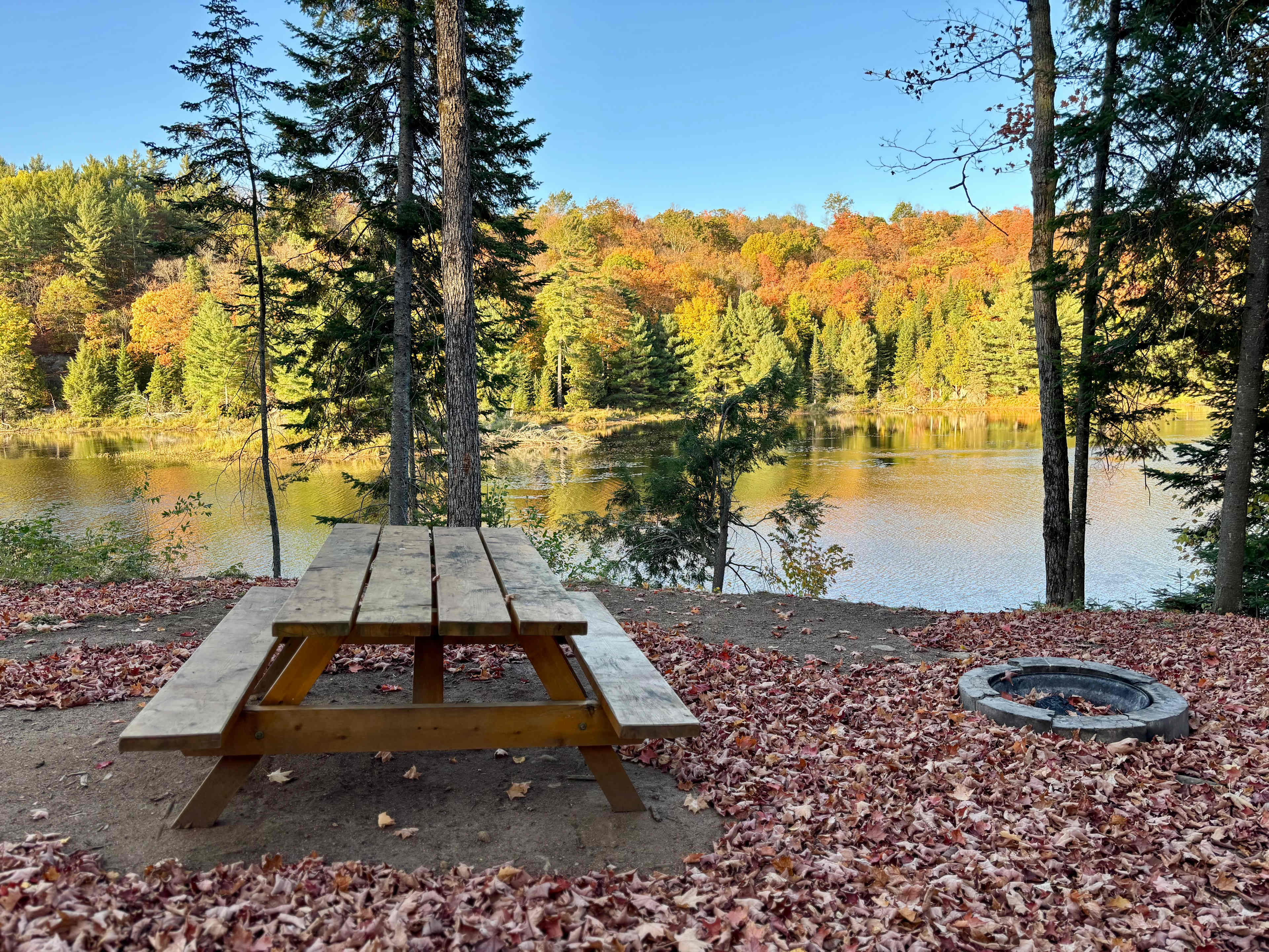 Ball Lake Tent Camping