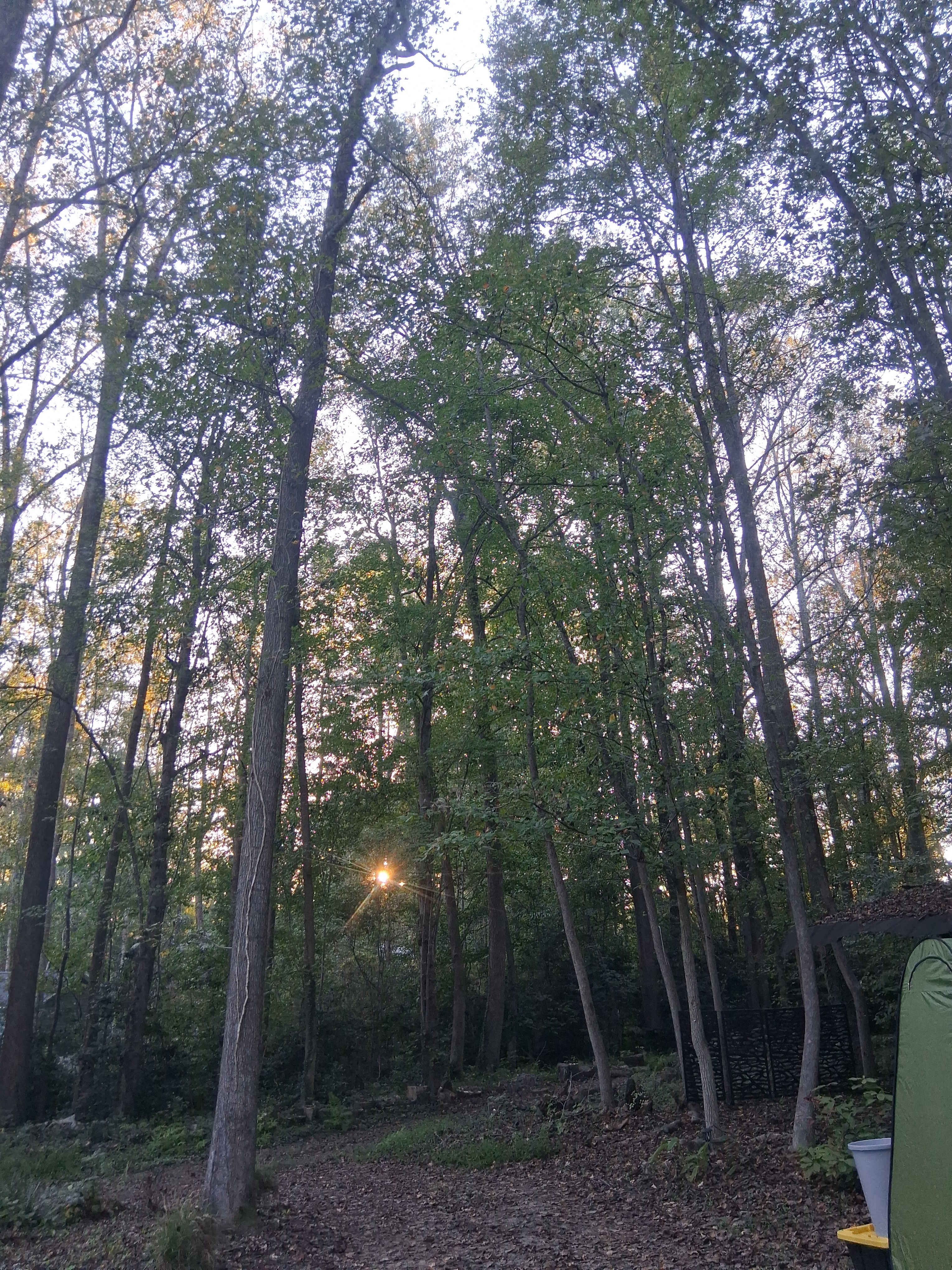 Flower & Fields Farm