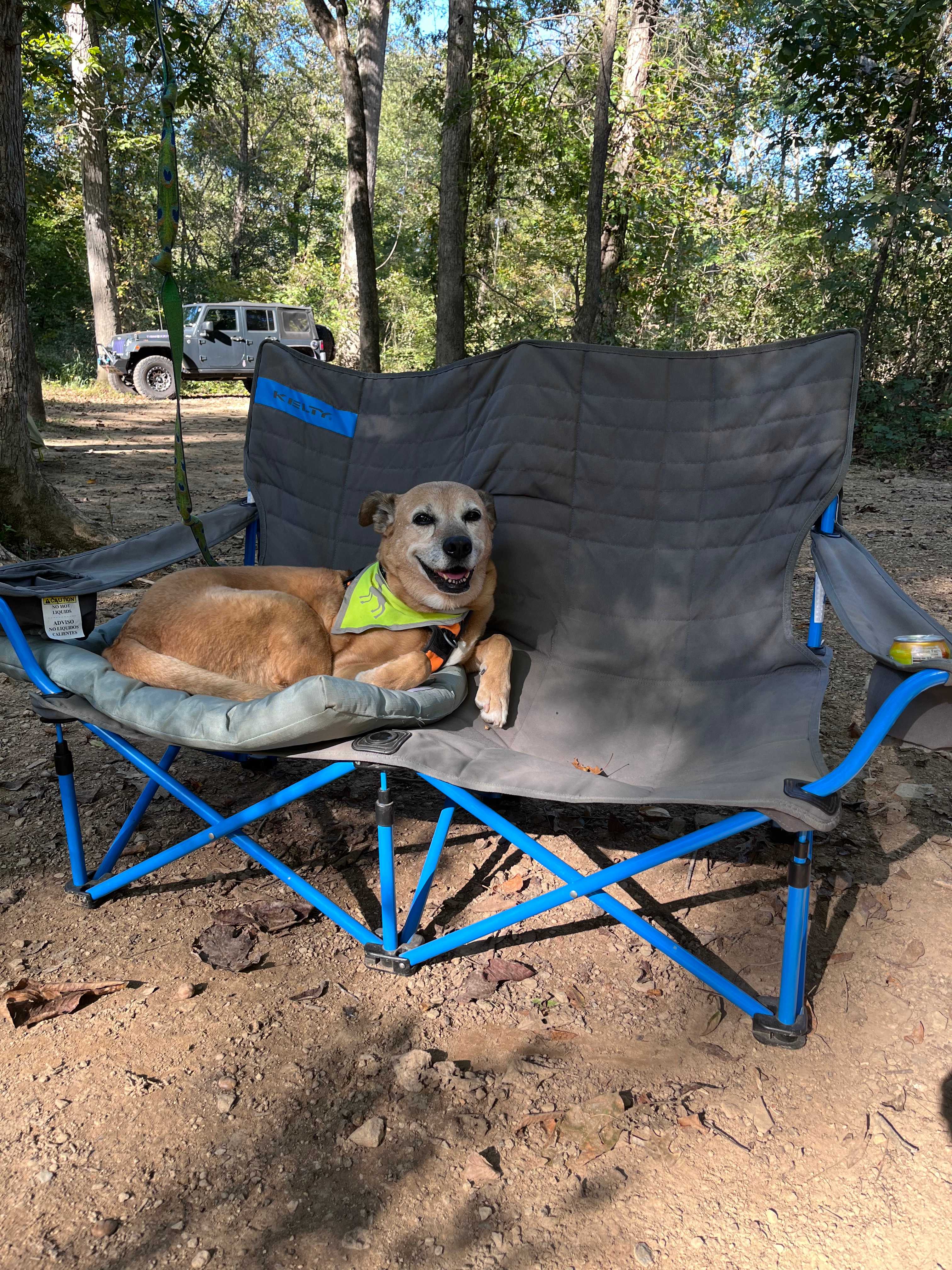 This site accommodated our senior dog very nicely, nice and flat, and a very short walk to the waterfall!
