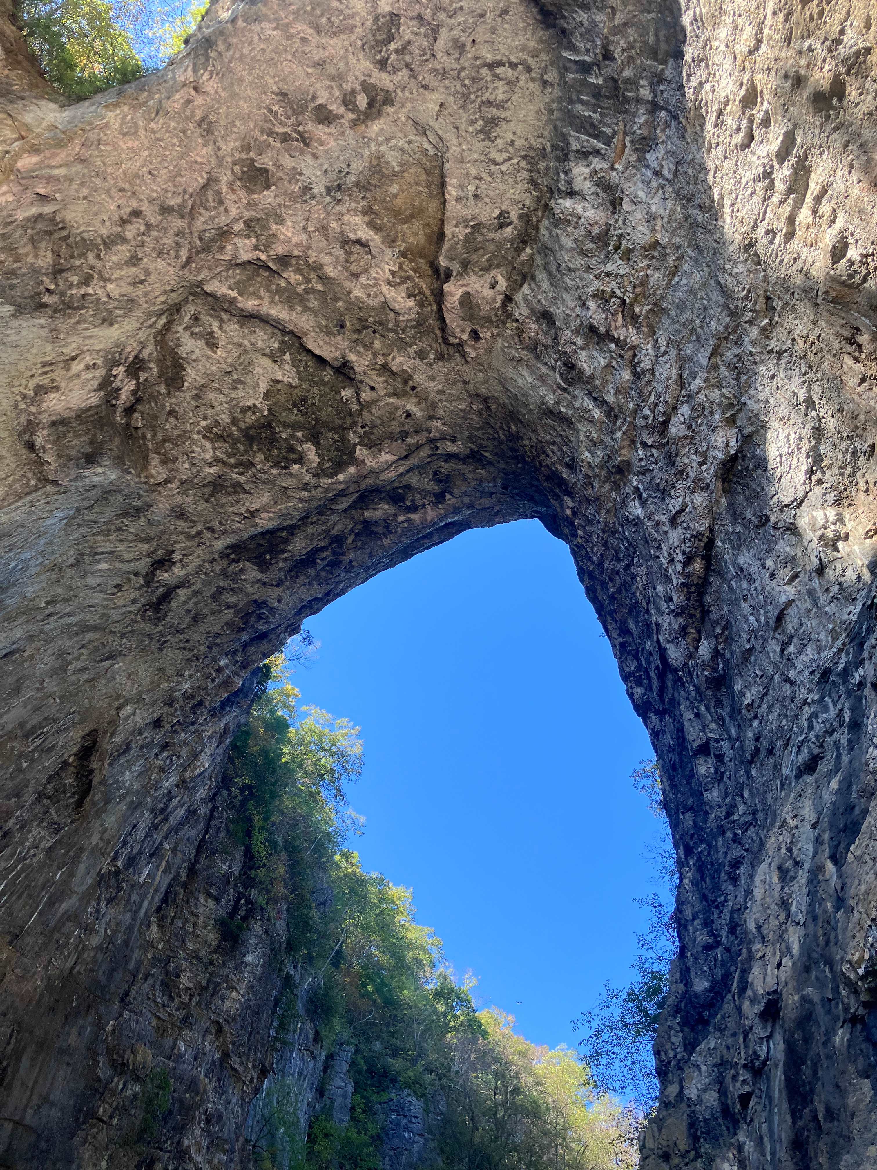 Mane Gait Equestrian Center