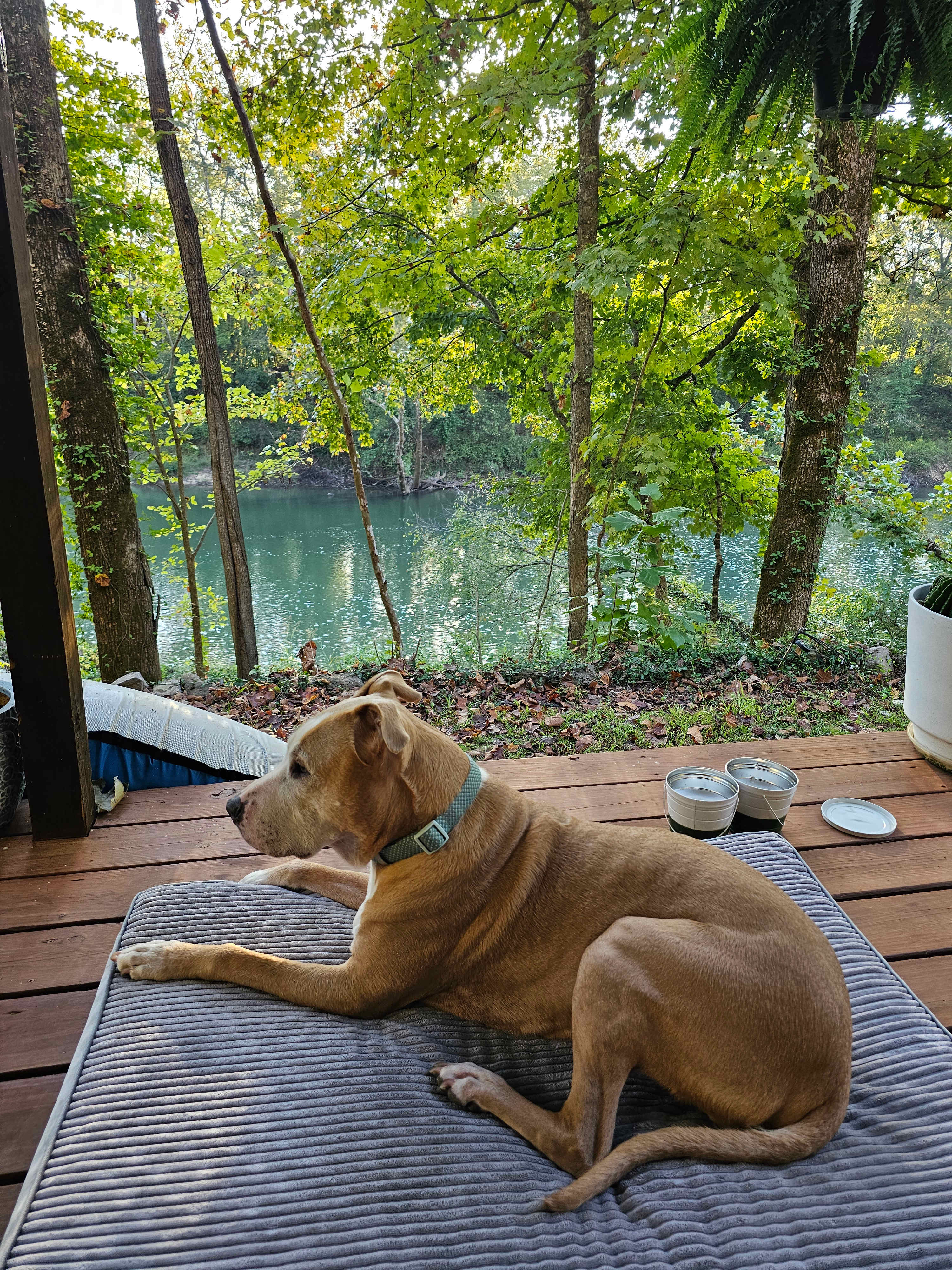 Ozarks Piney Bend Riverfront