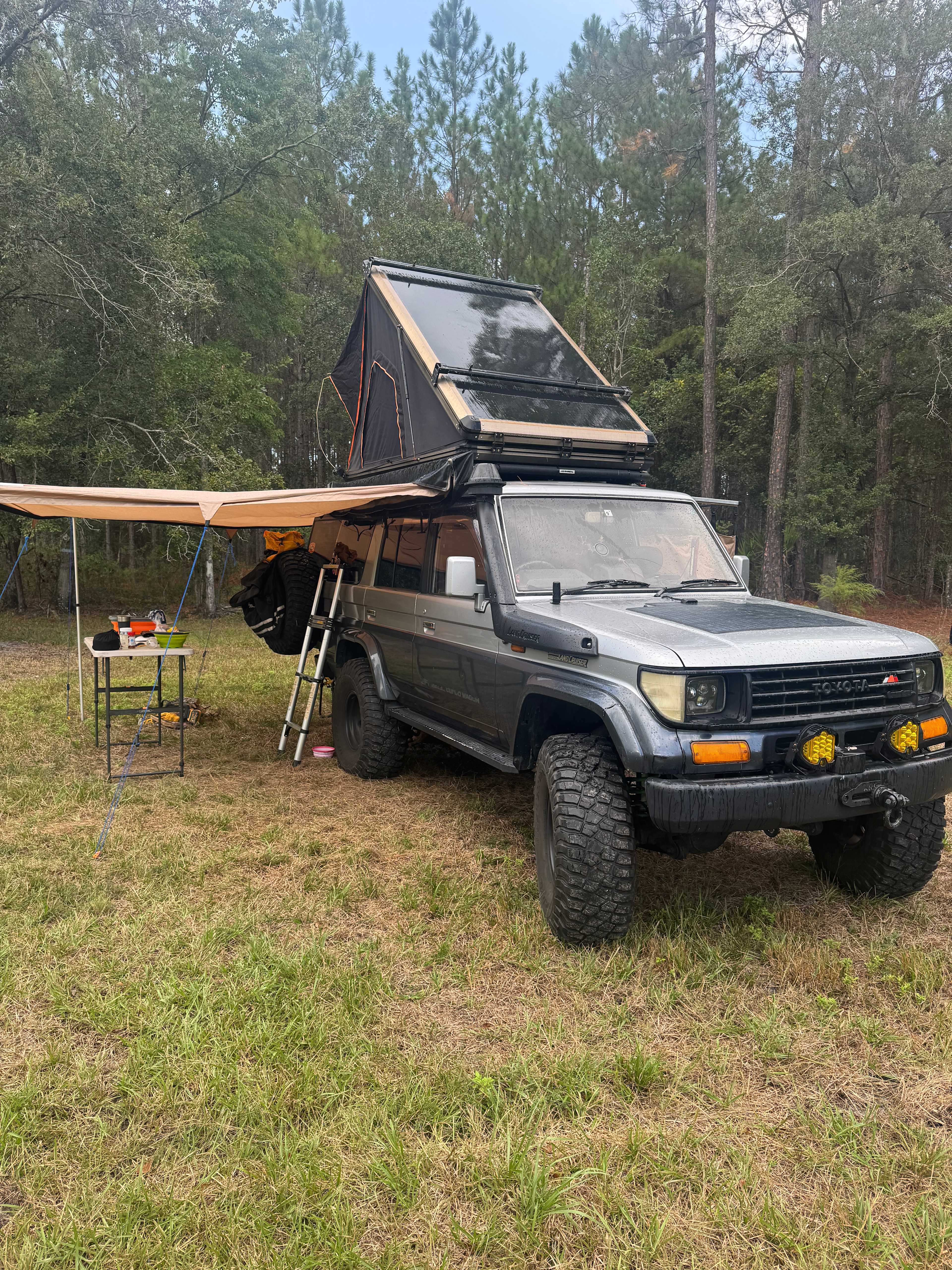 Magical and Artsy Firefly Farms