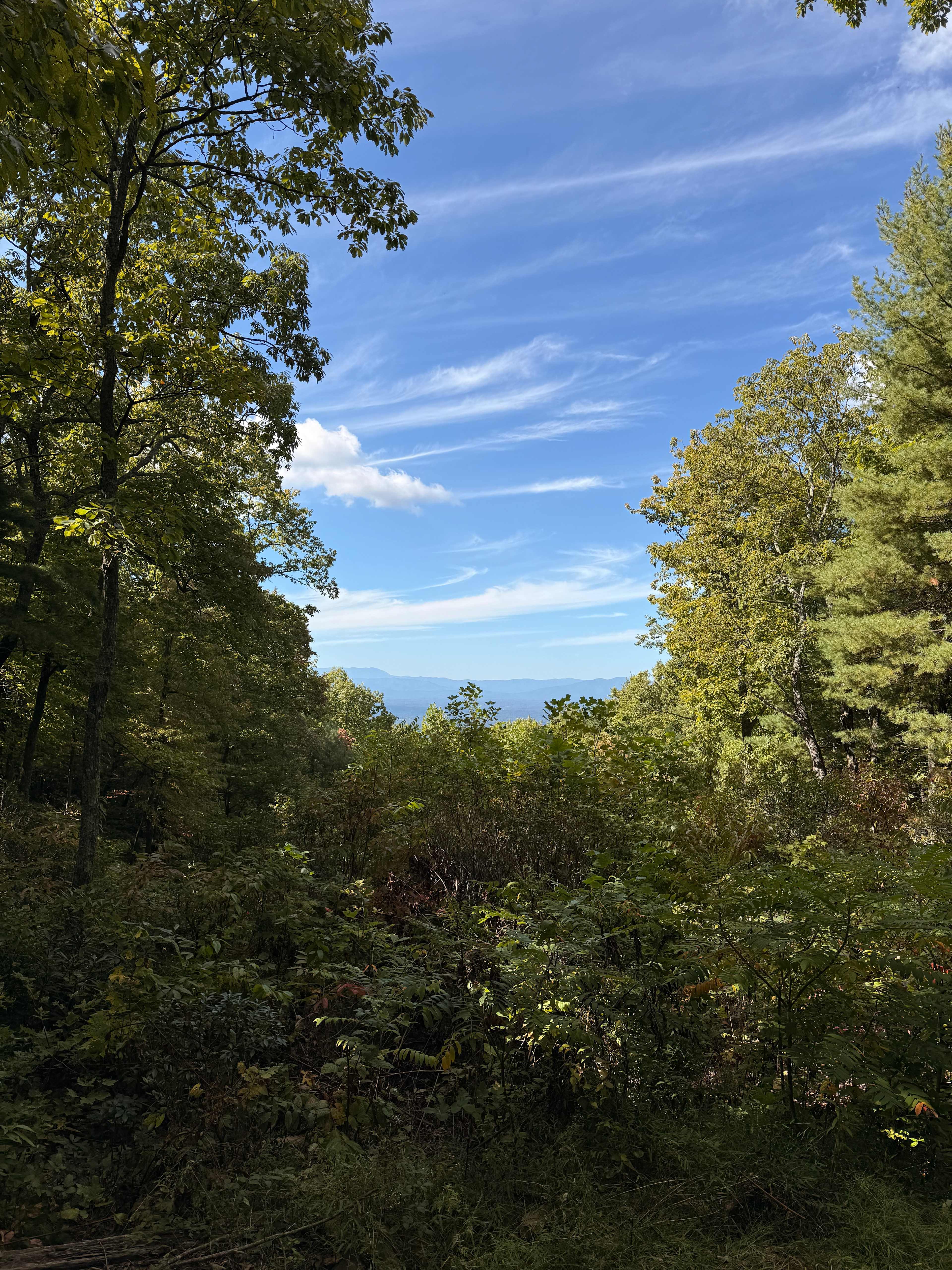 Remote Mountain Camping Platform