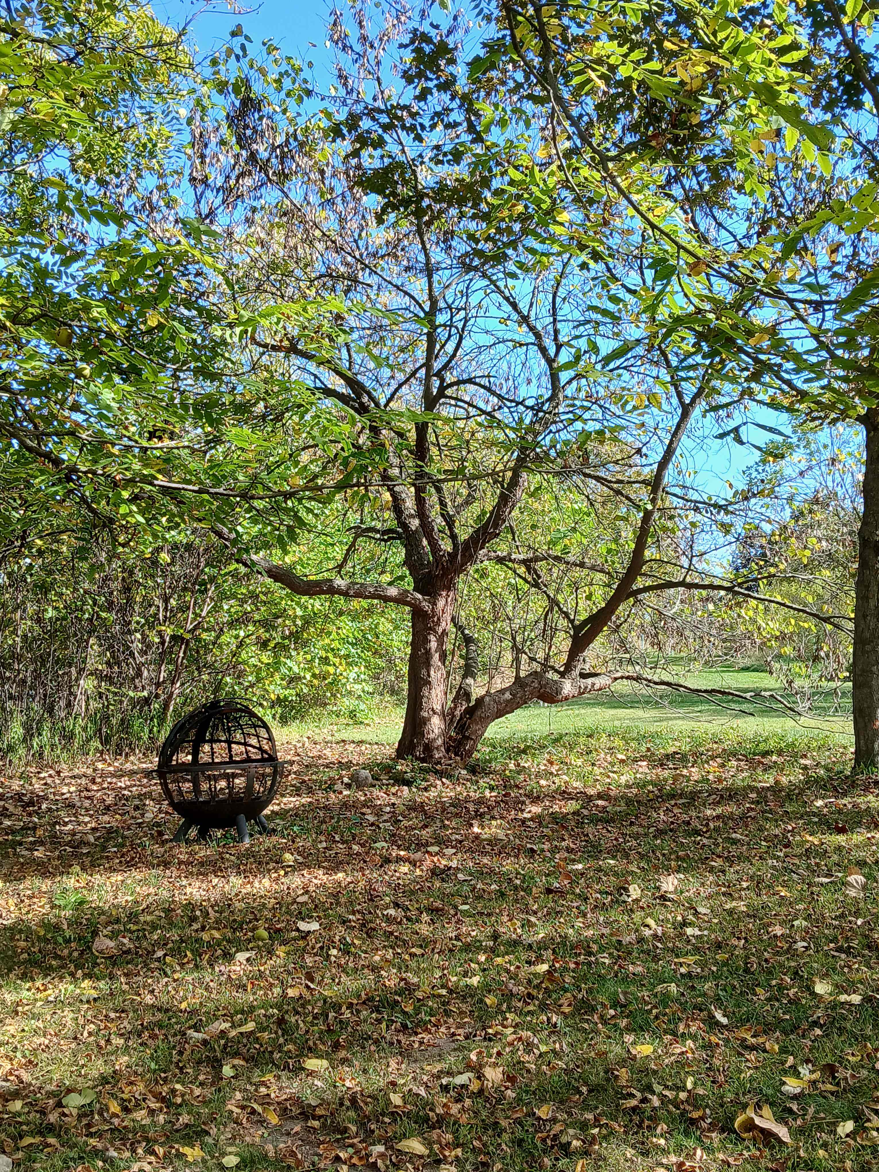 EarthWell Retreat Center