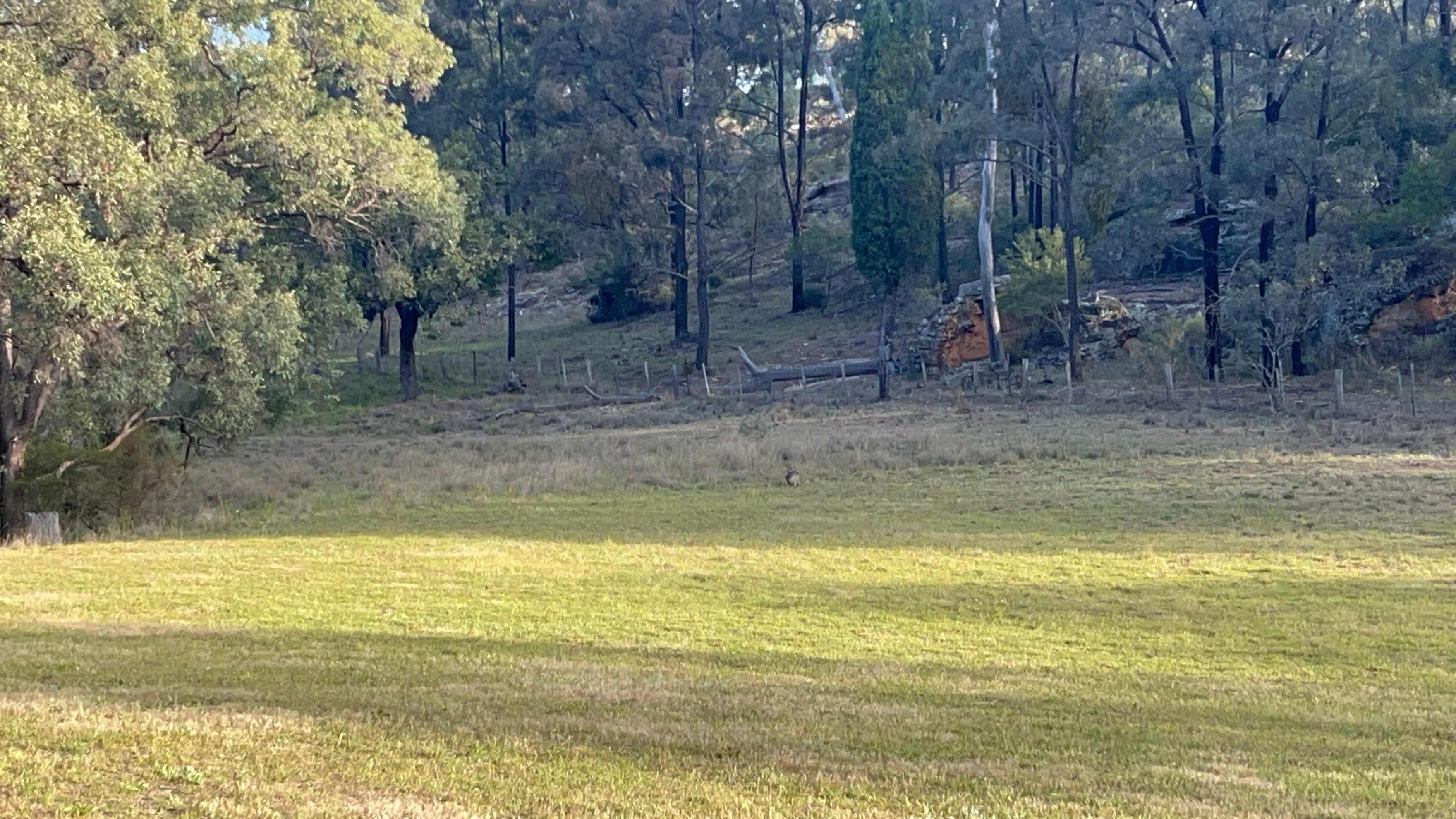 Hillside Camp on Bow River
