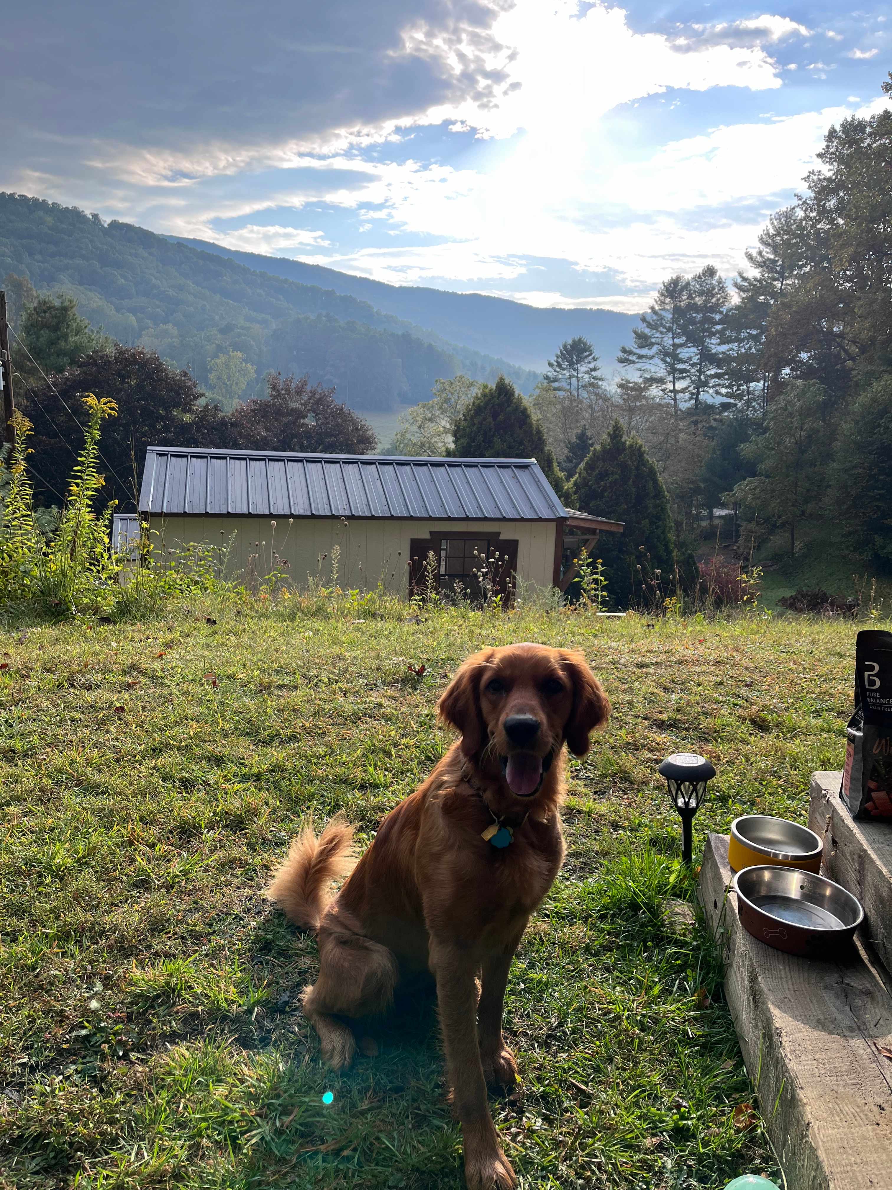 Bear Creek Mountain Camping