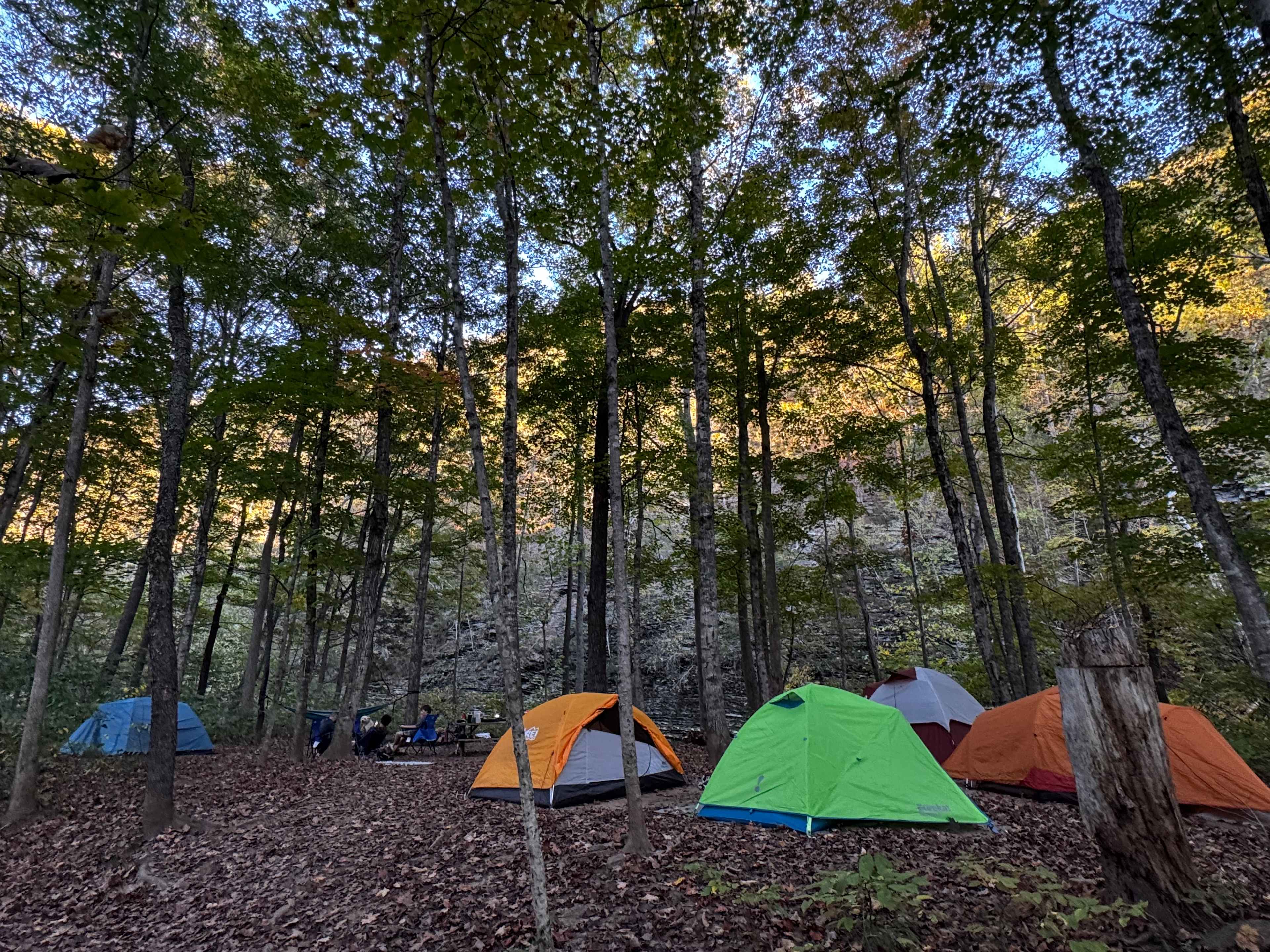 Savage Acres on Craig Creek