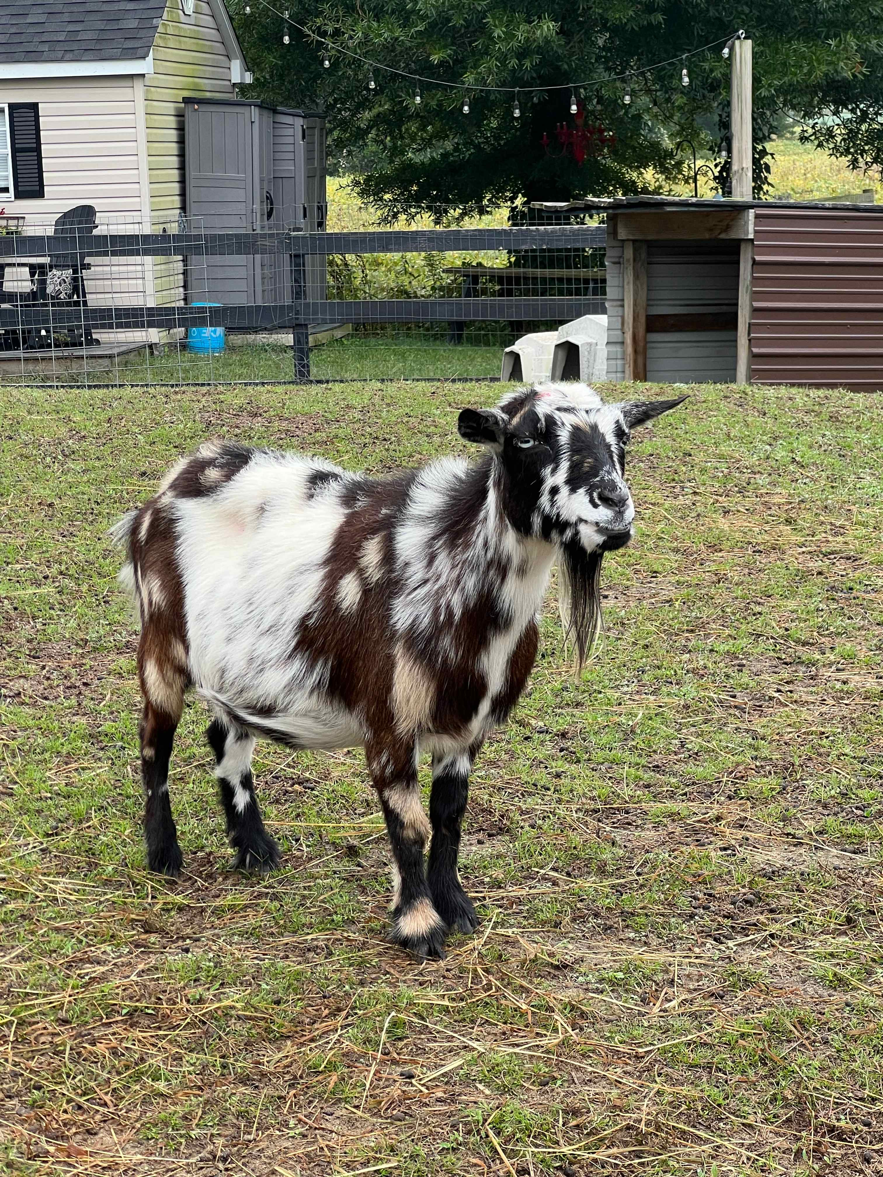 Jail Cell- Glamping Experience!