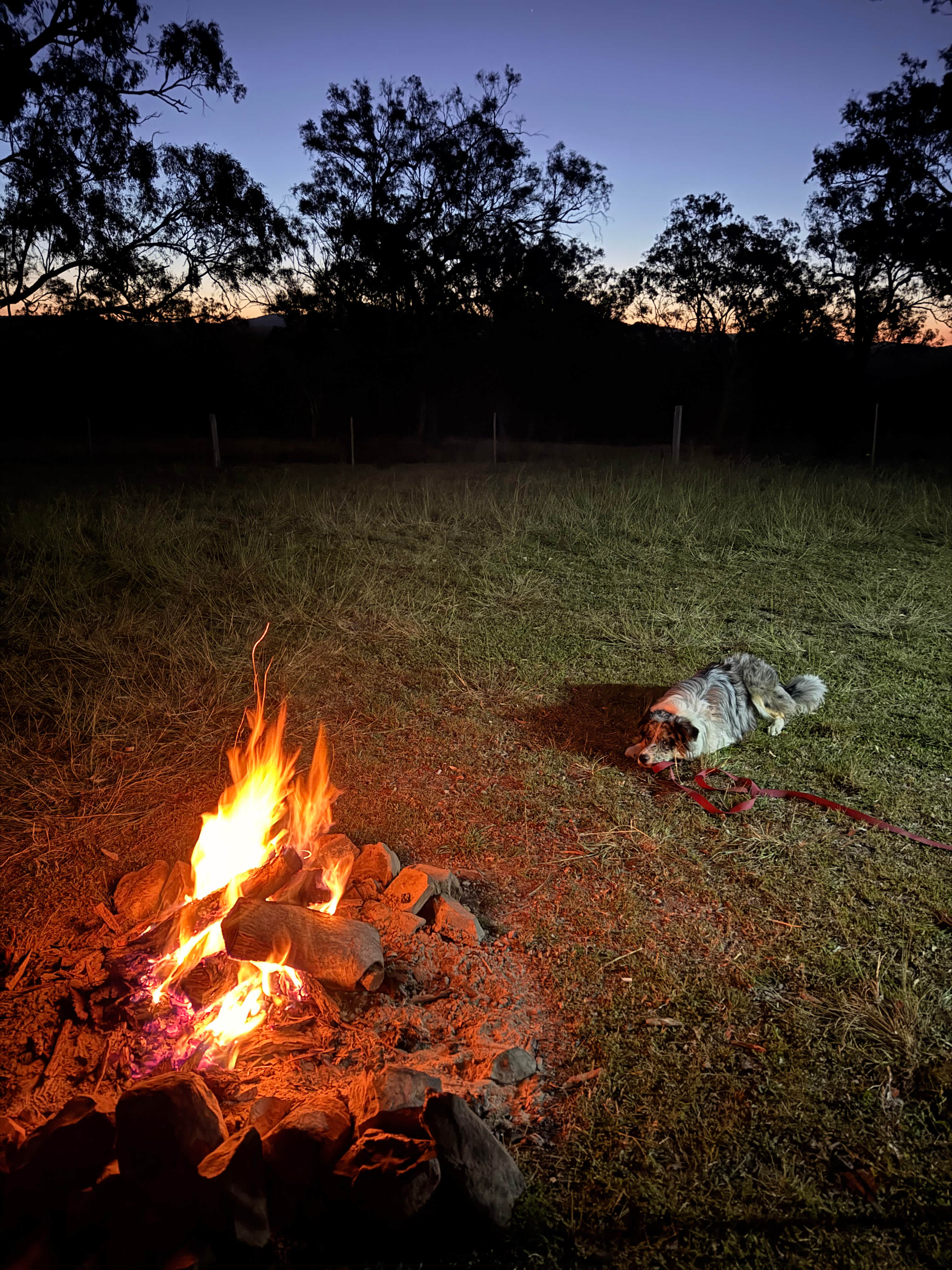 Berrima Camping & Farmstay