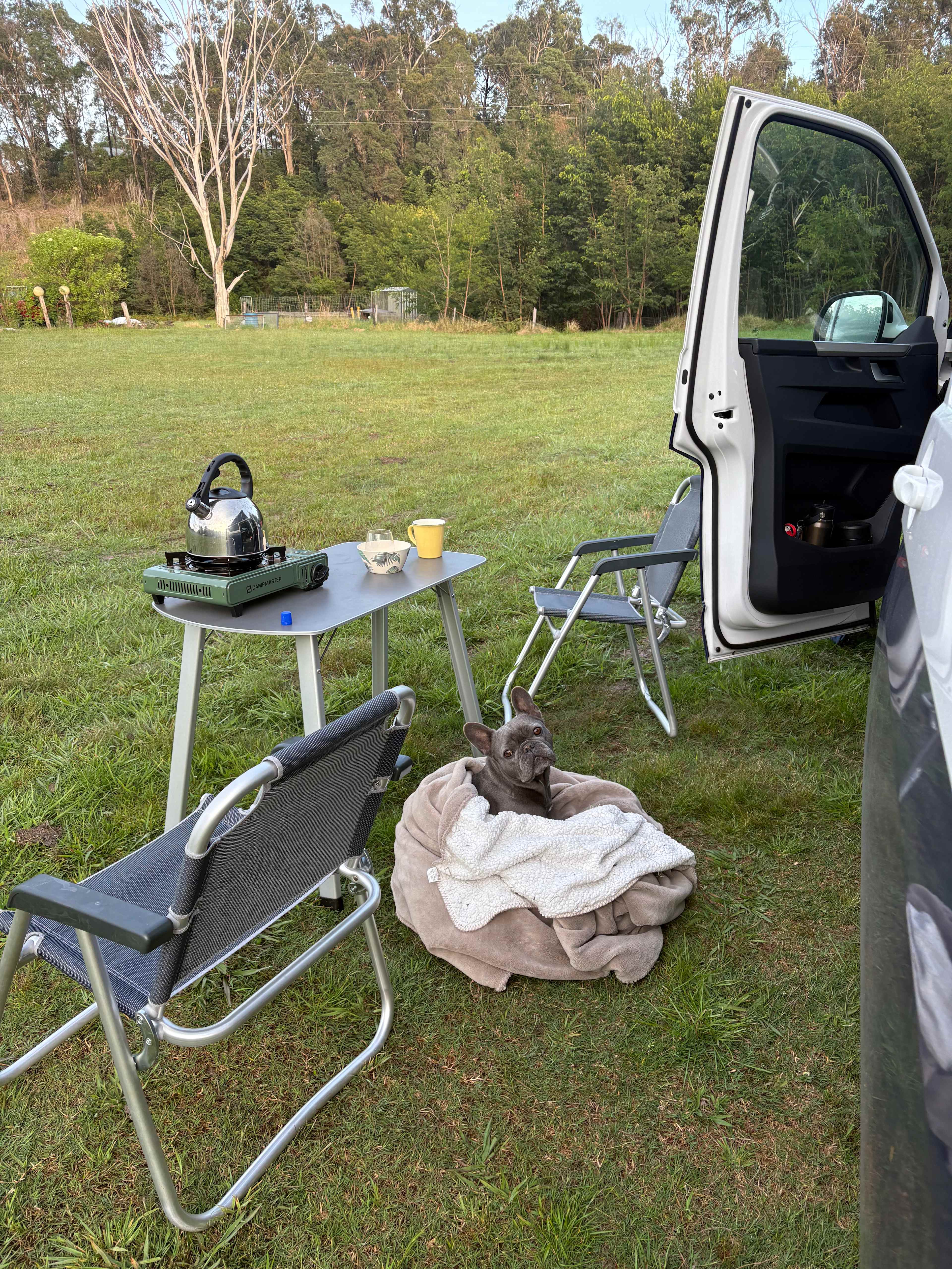 Little Paddocks Mogo