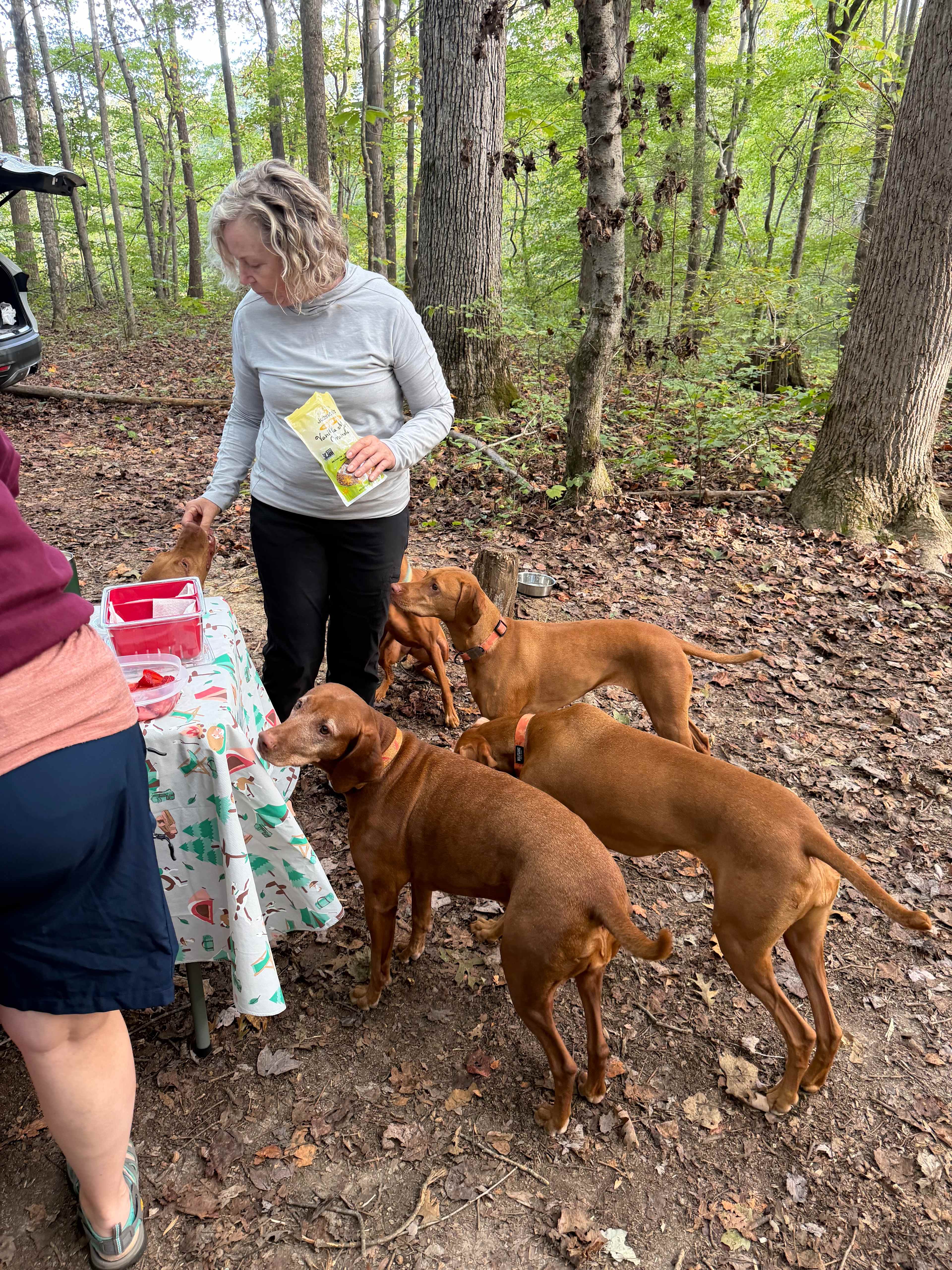 We had two sites and our five vizslas and three campers thoroughly enjoyed our 3-night stay
