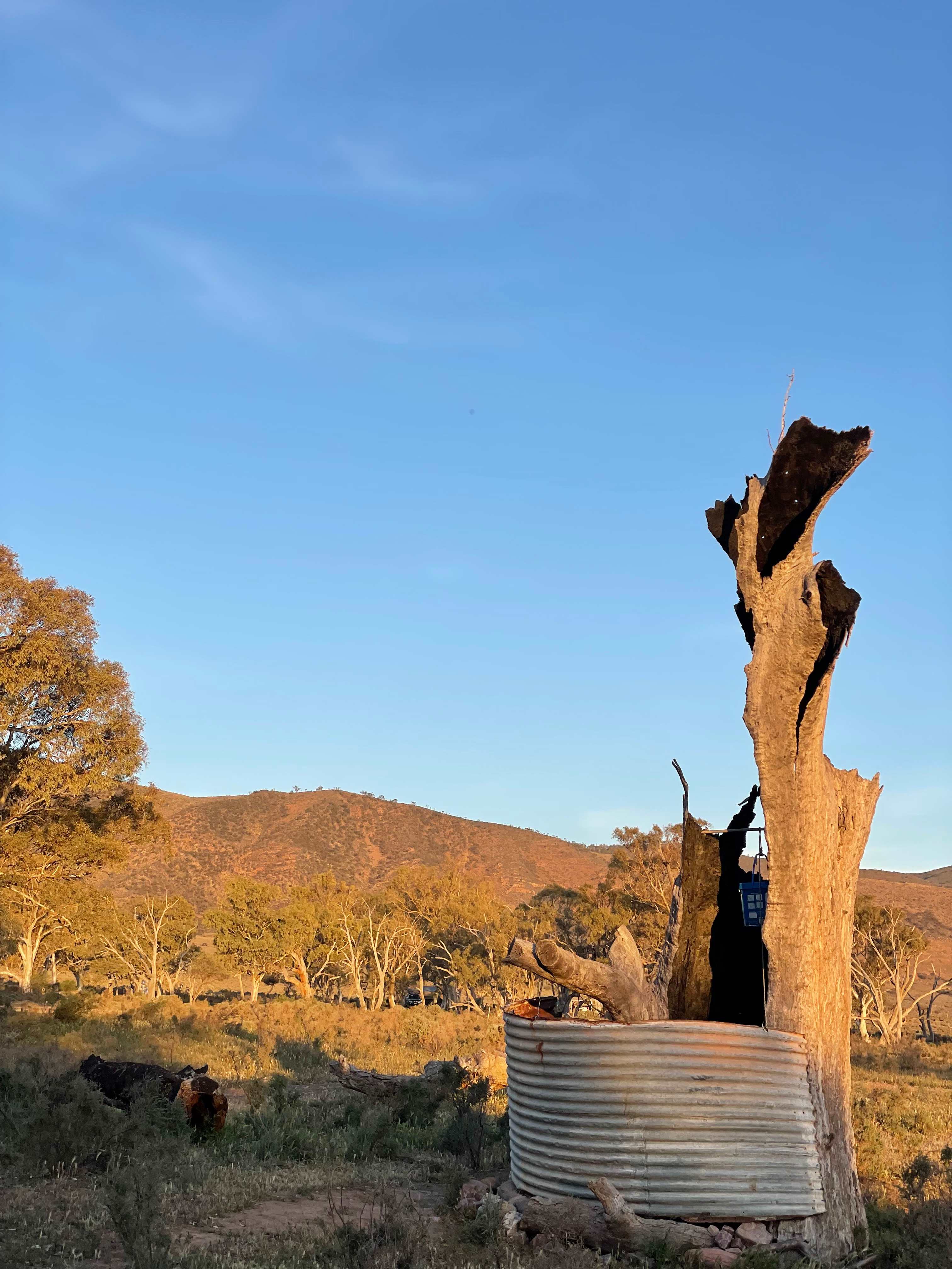 Catninga Camps & Accommodation