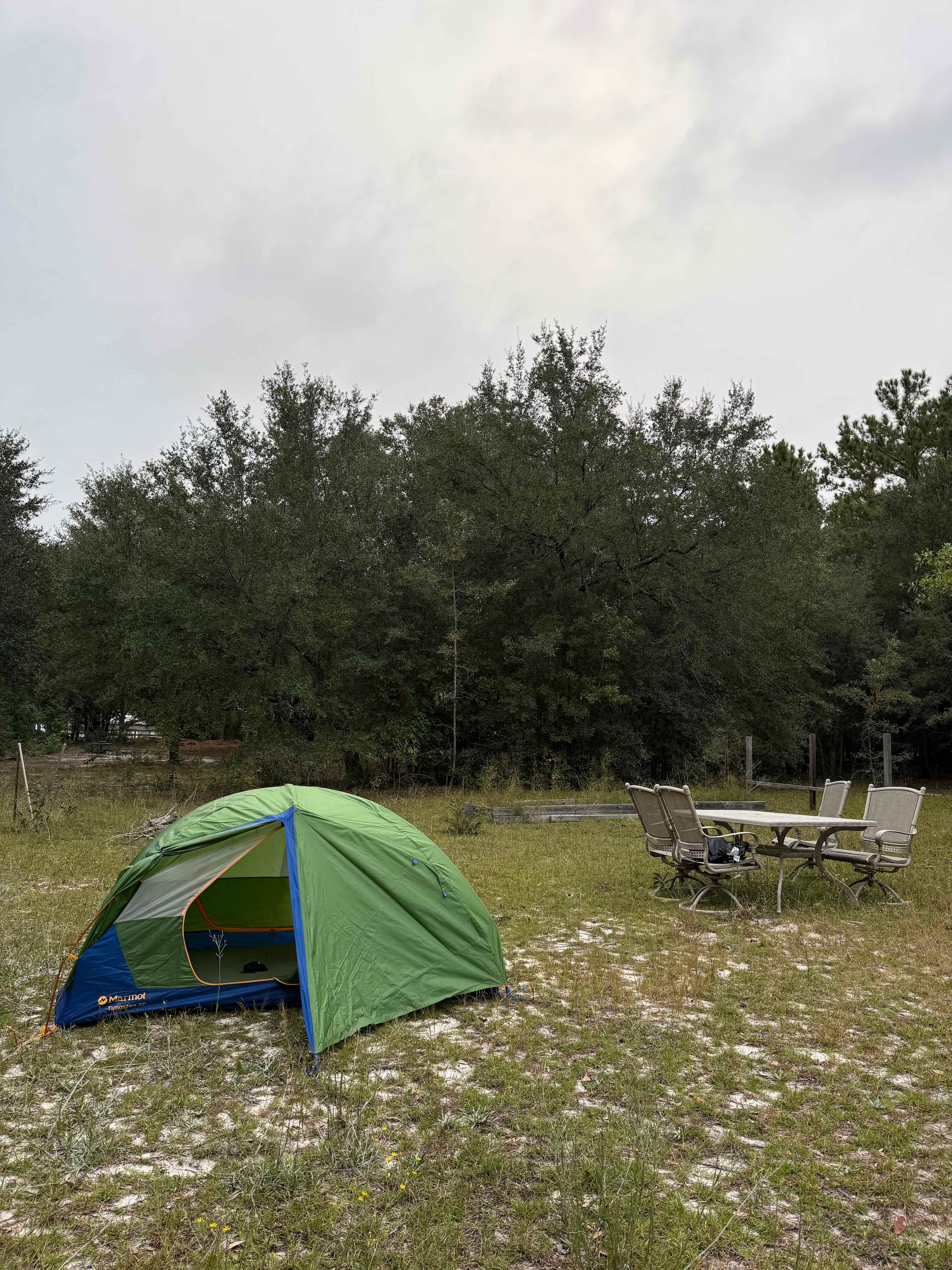 Too Many Oaks Plantation