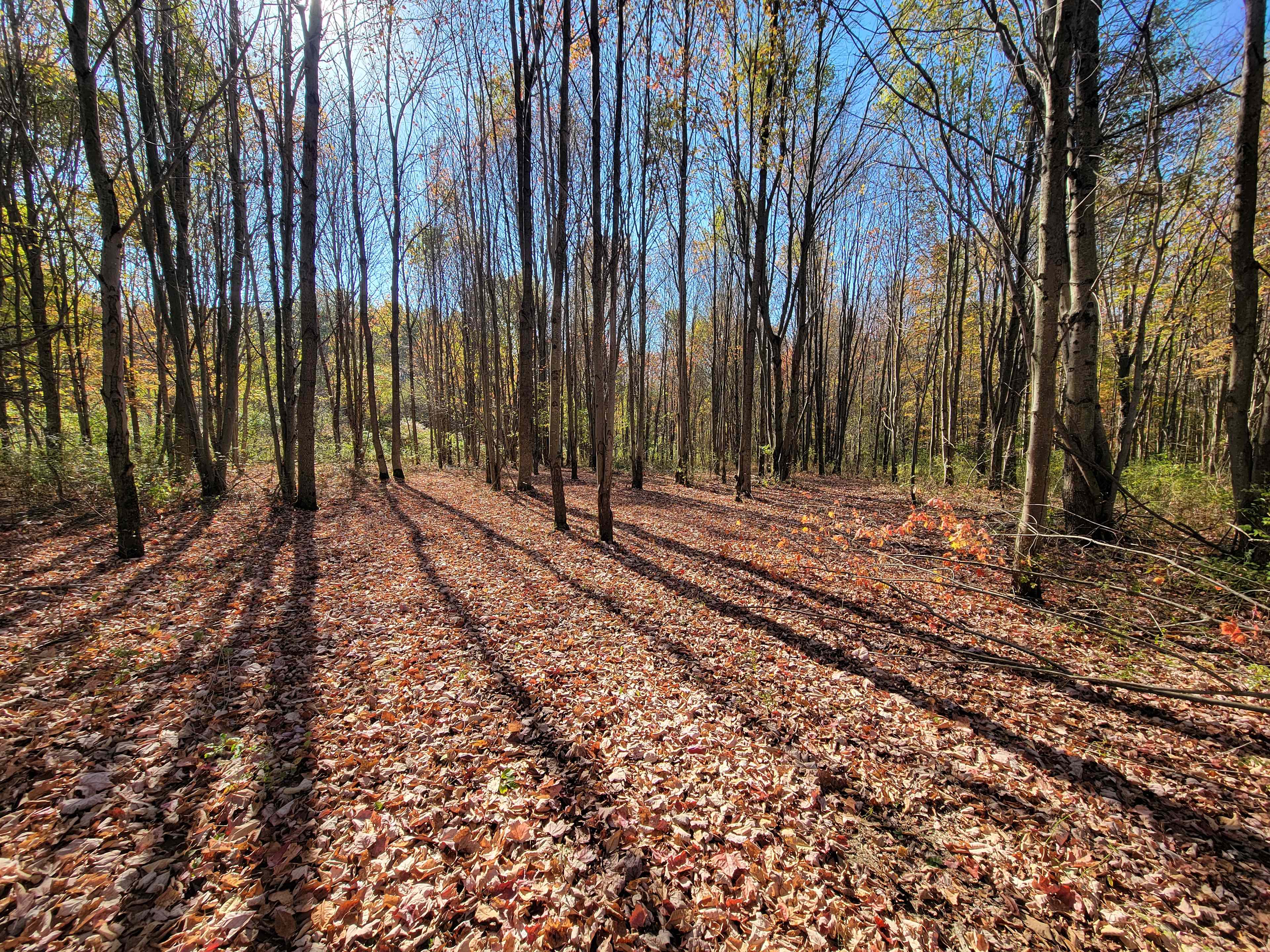 Big Sky Relaxation Station