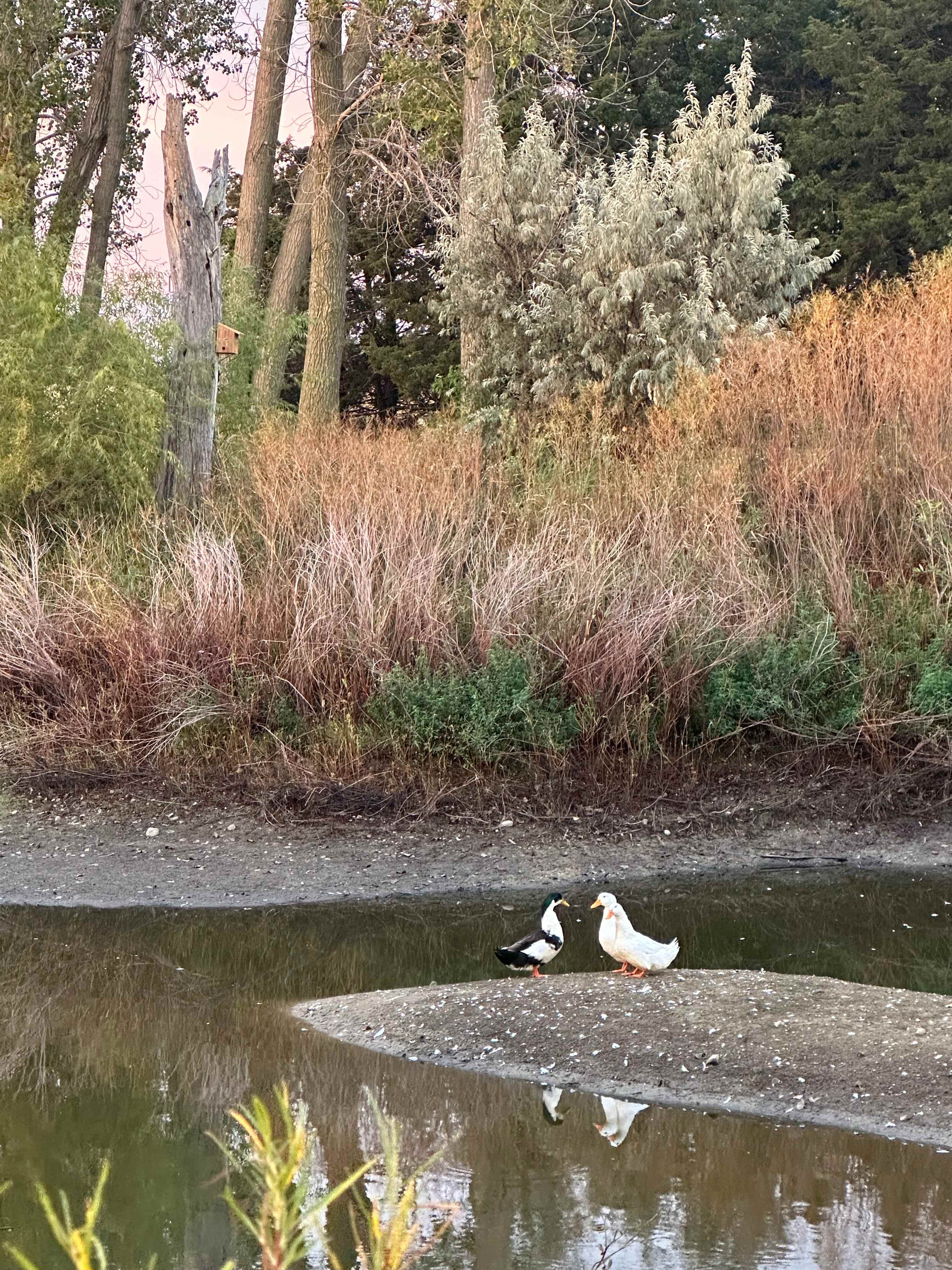Uncle B's Produce Farm