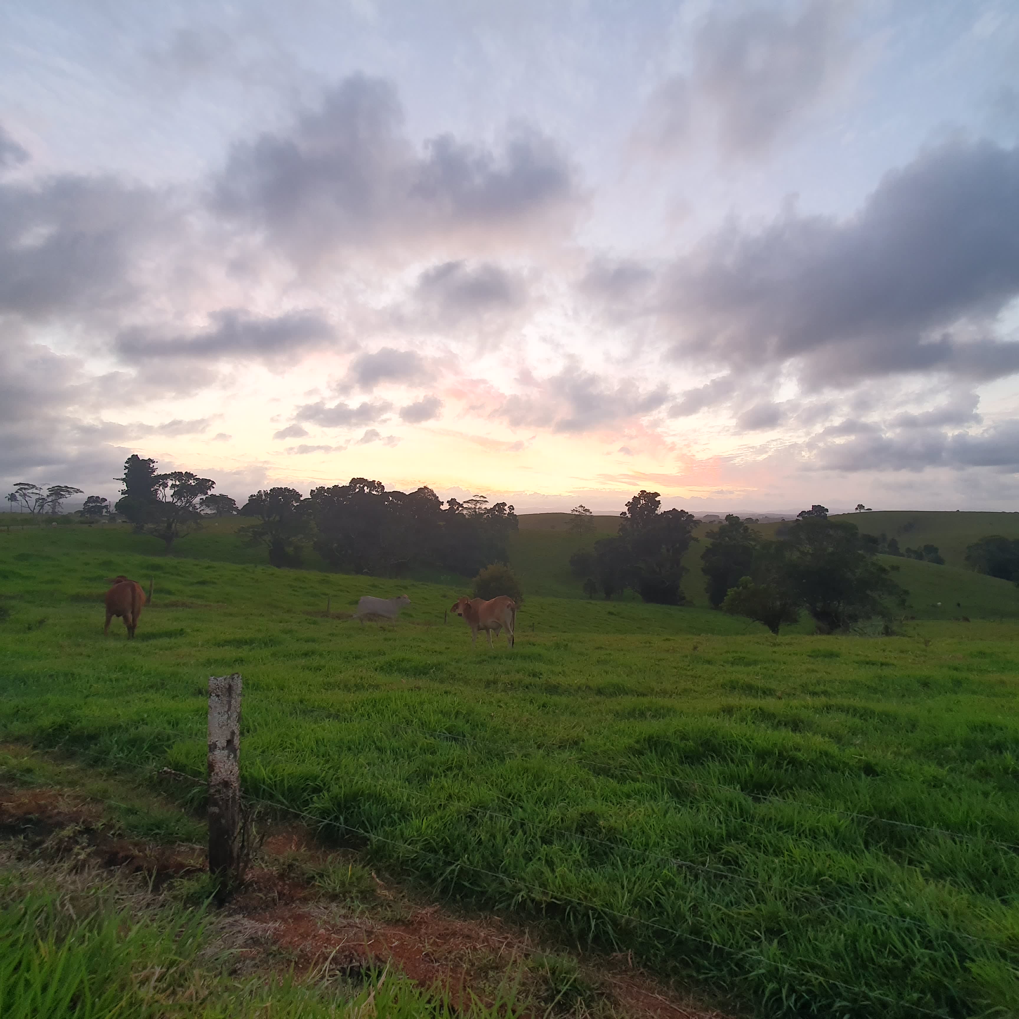 Stunning views at sunset