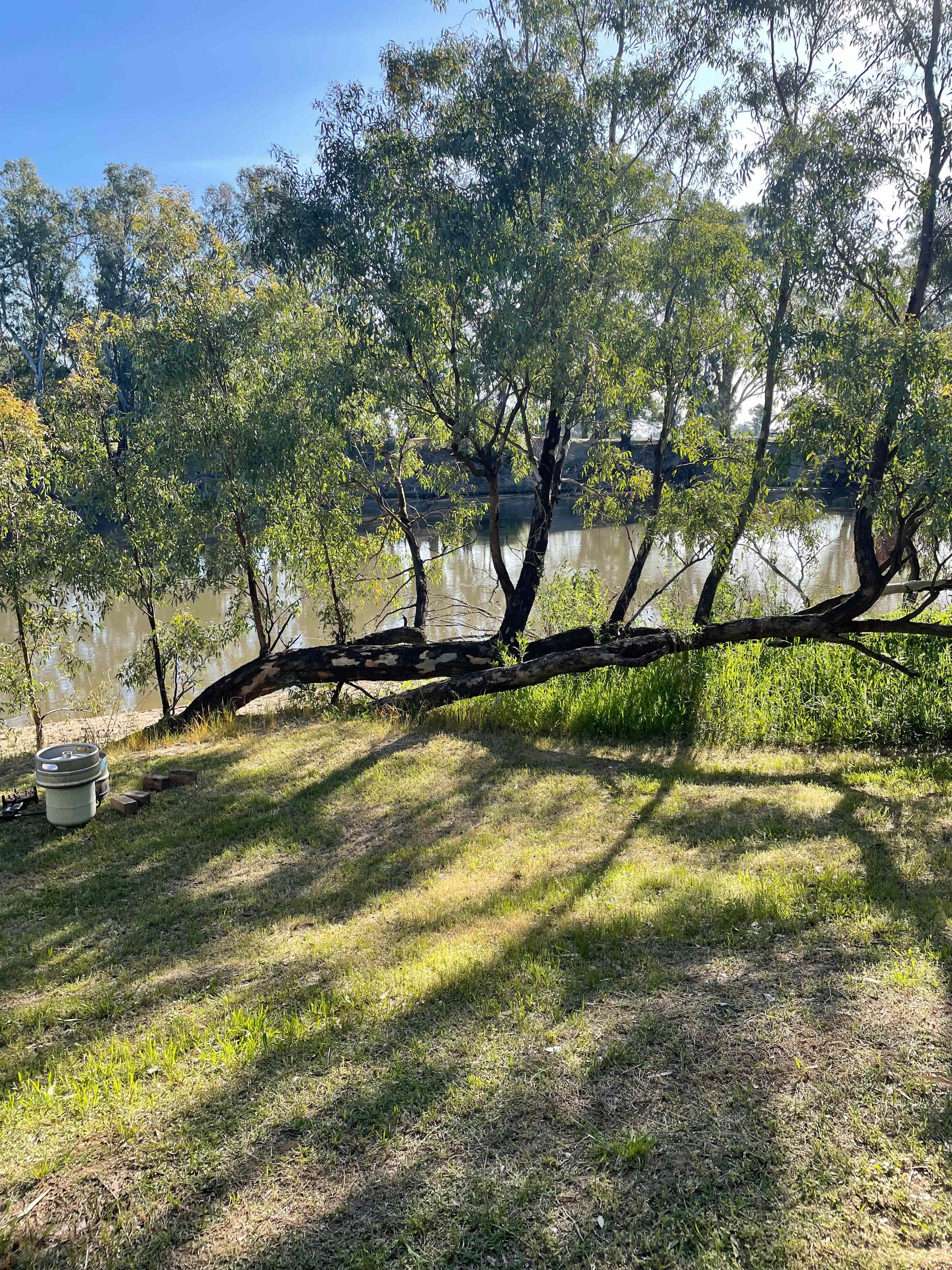 Palm Cove On The Murrumbidgee
